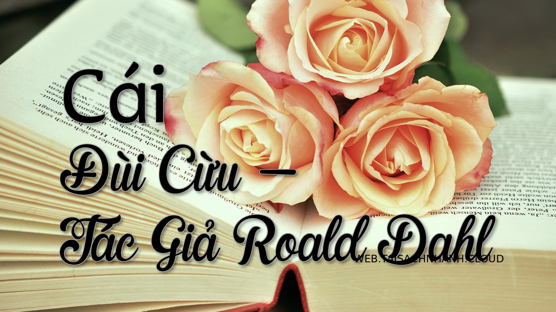 Cover Cai Dui Cuu.jpg