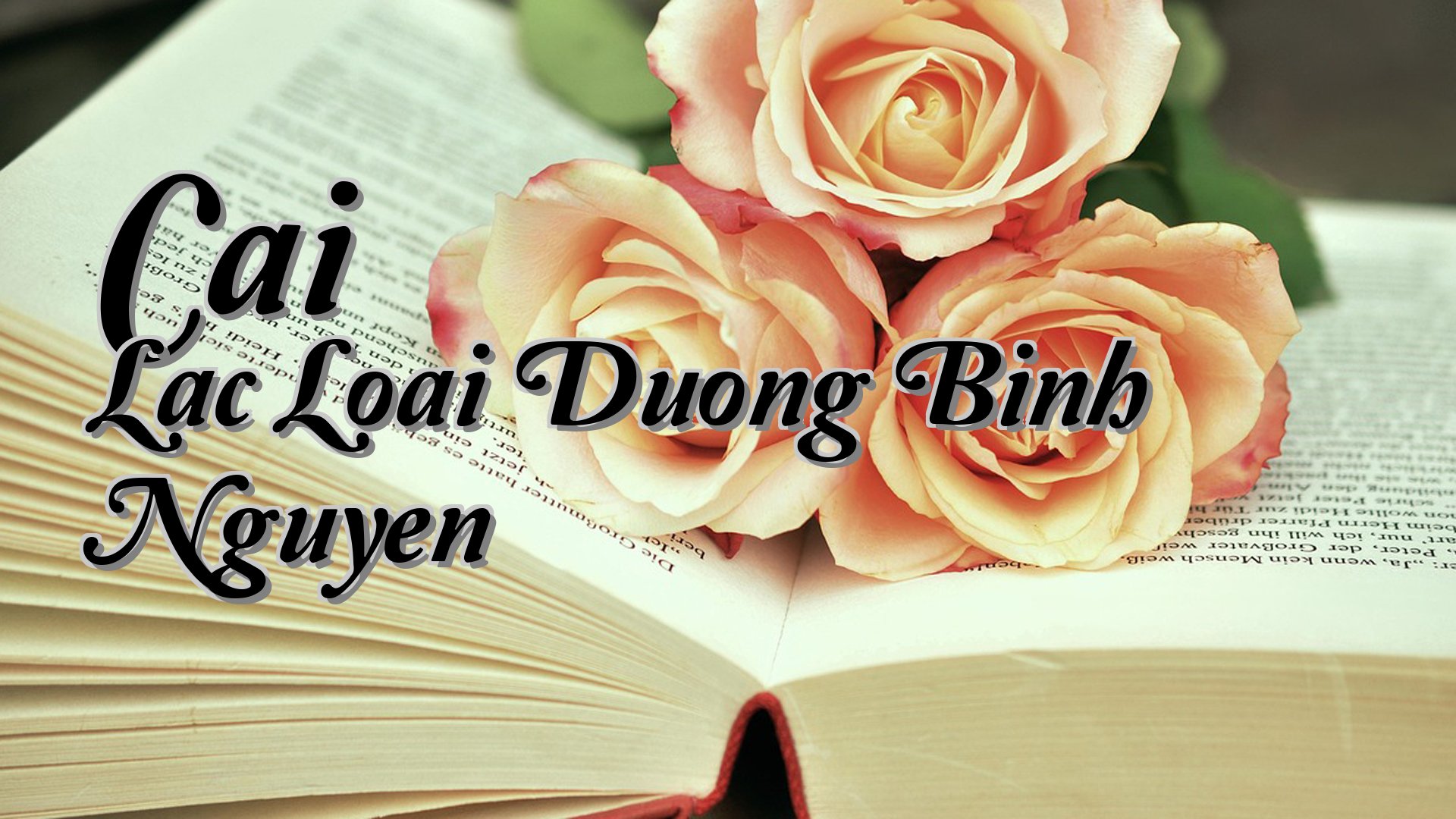 cover-Cai Lac Loai Duong Binh Nguyen