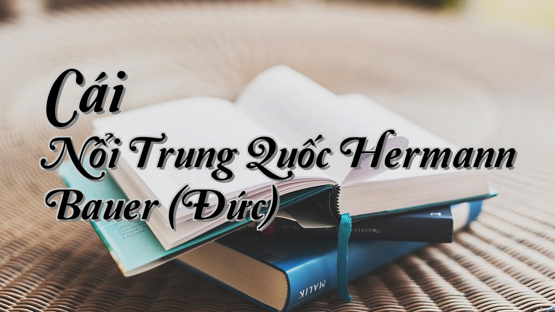 cover-Cái Nổi Trung Quốc Hermann Bauer (Đức)