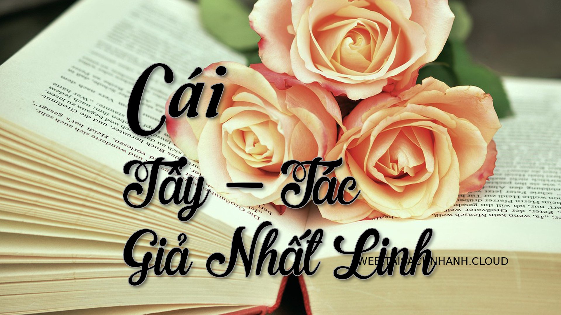 Cover Cai Tay.jpg