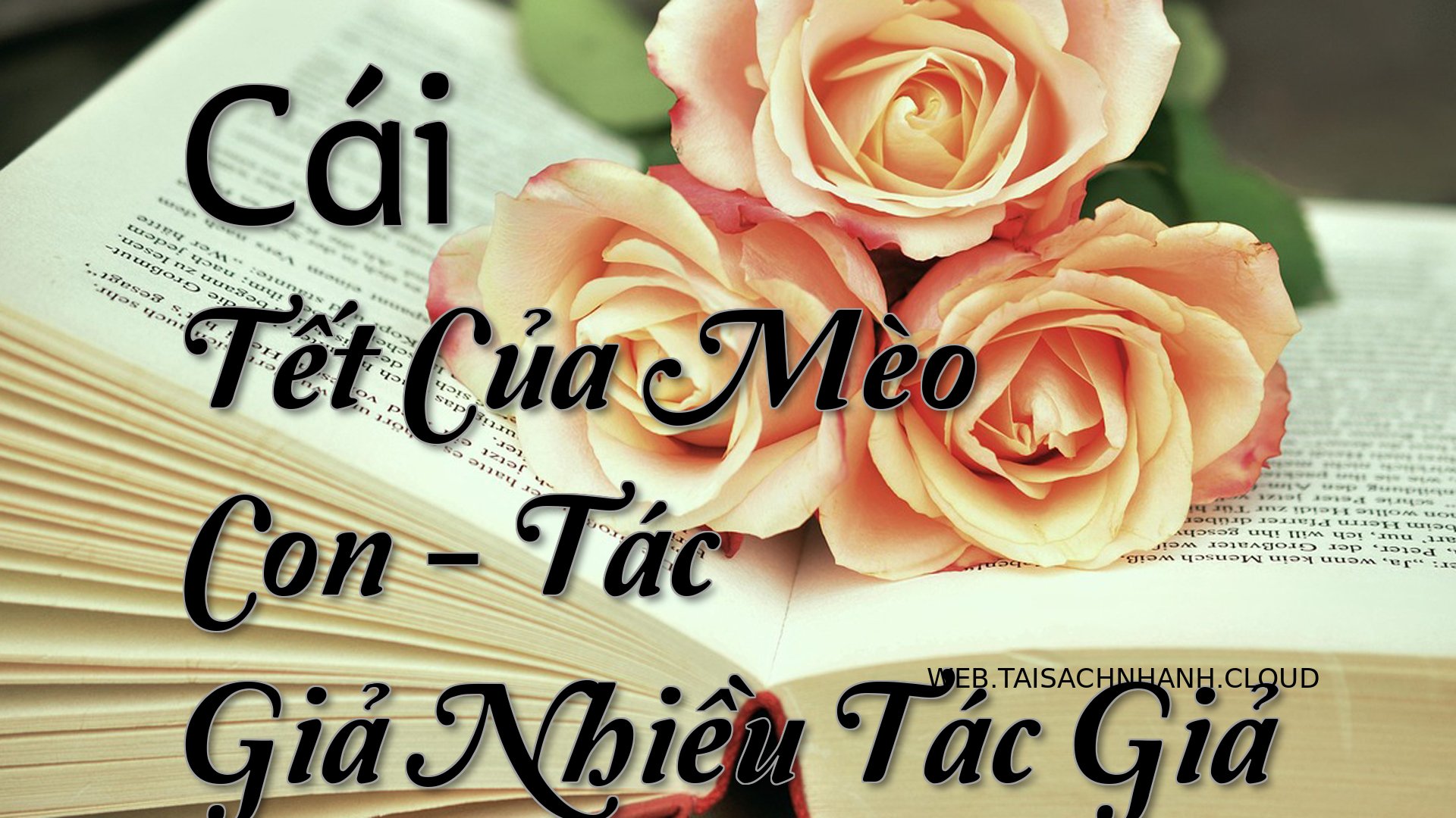 Cover Cai Tet Cua Meo Con.jpg