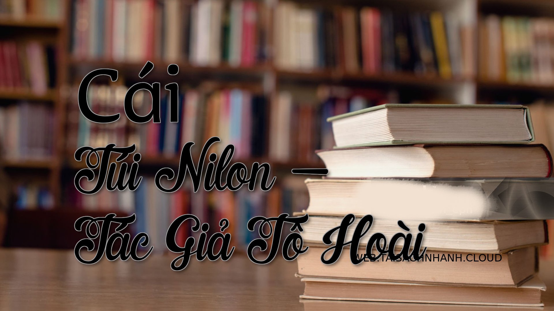 Cover Cai Tui Nilon.jpg