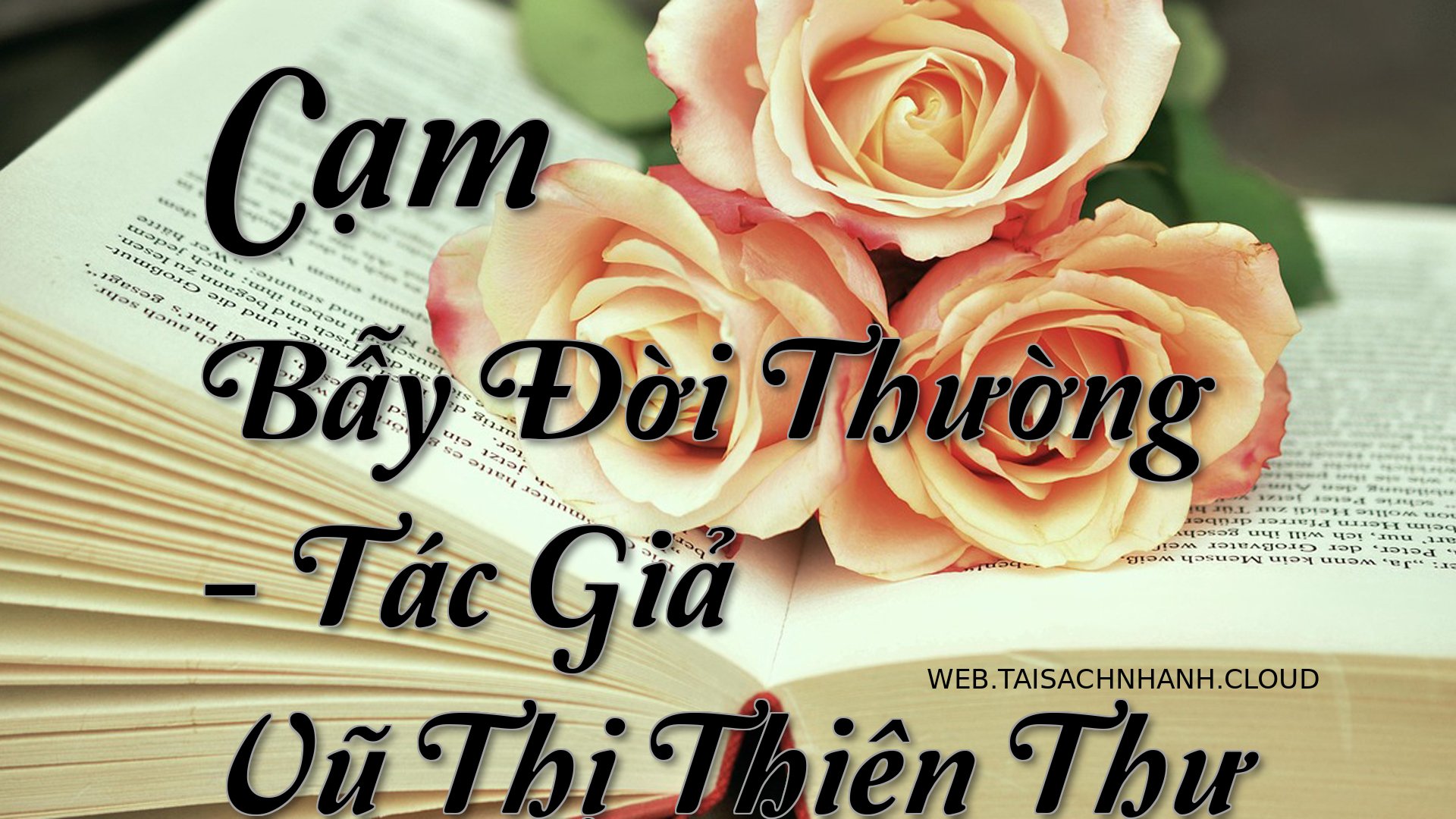 Cover Cam Bay Doi Thuong.jpg