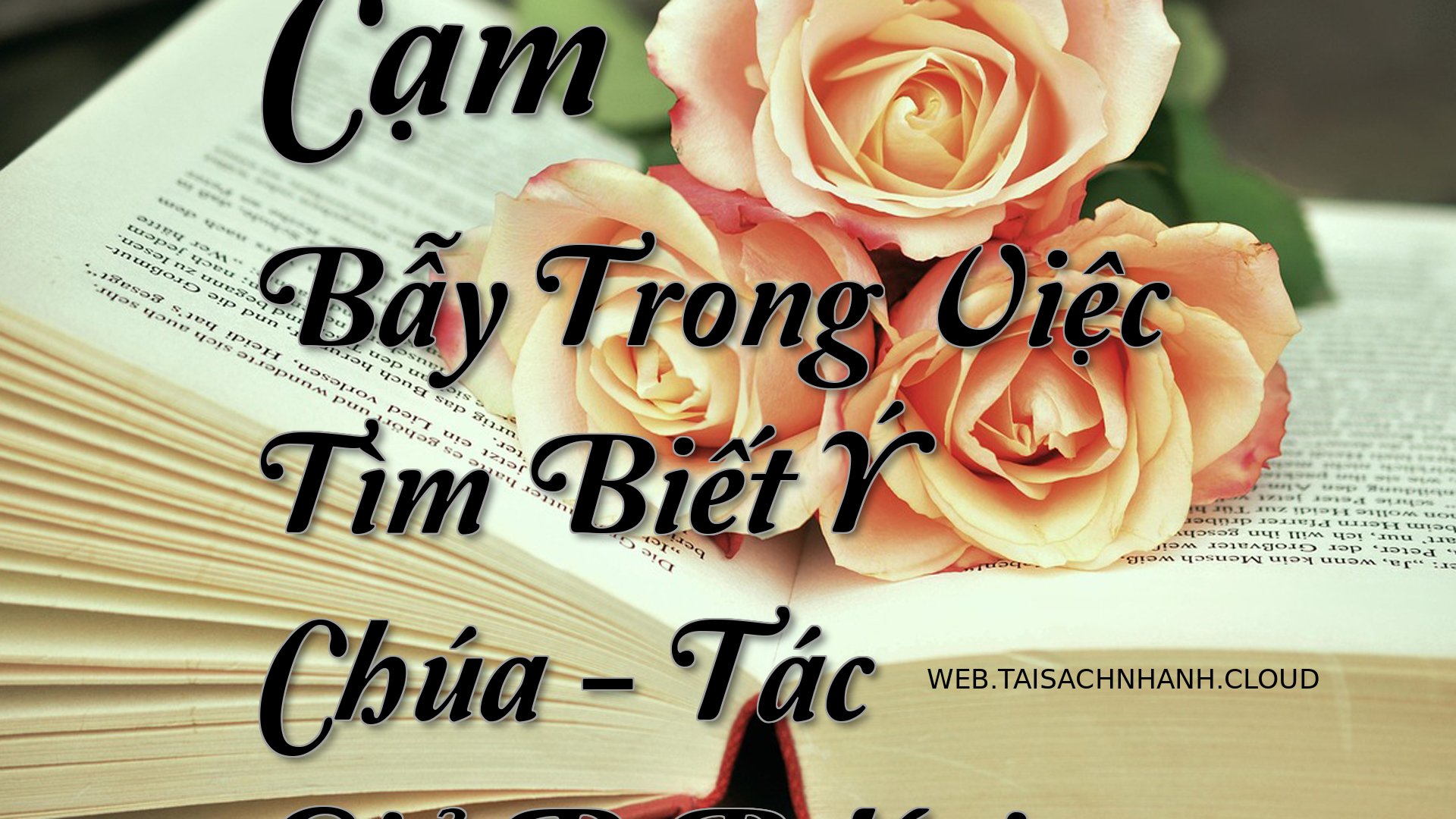 Cover Cam Bay Trong Viec T.jpg