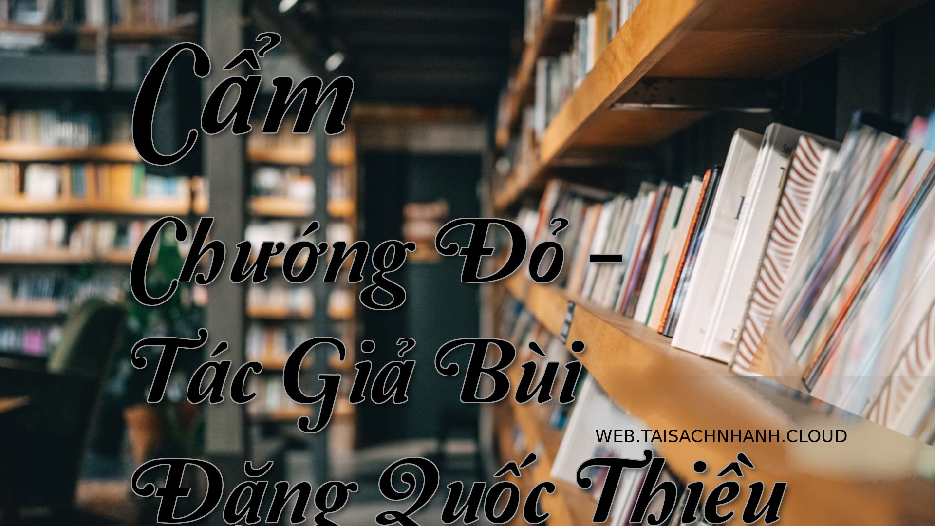 Cover Cam Chuong Do.jpg