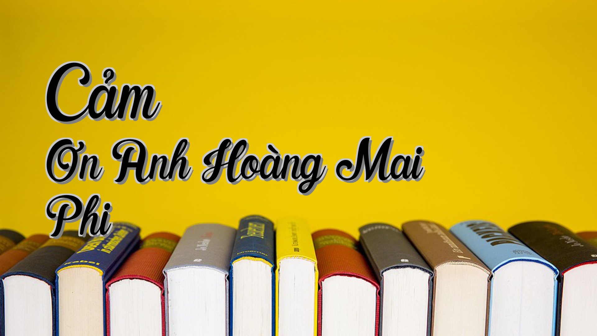 cover-Cảm Ơn Anh Hoàng Mai Phi