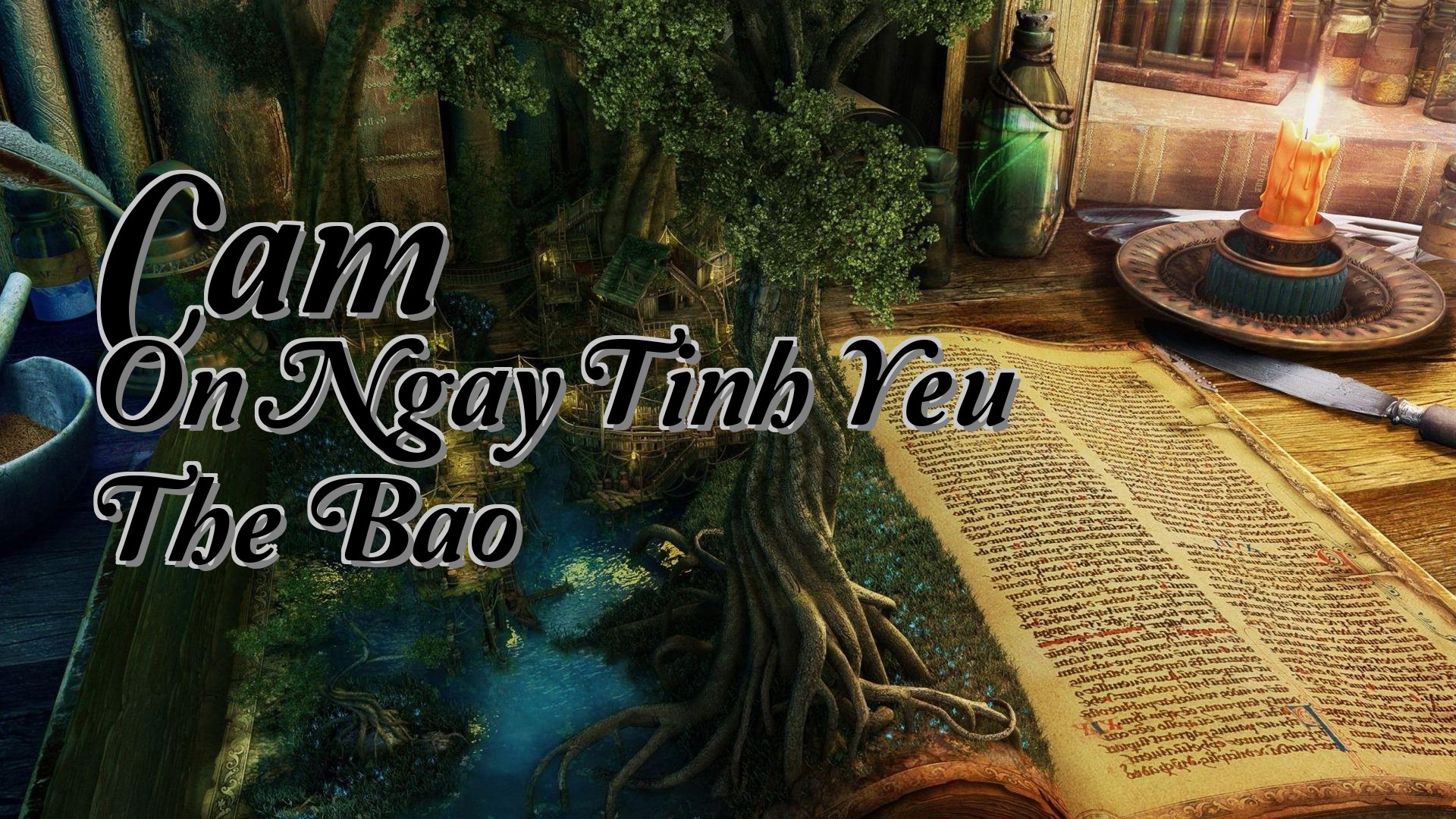 cover-Cam On Ngay Tinh Yeu The Bao