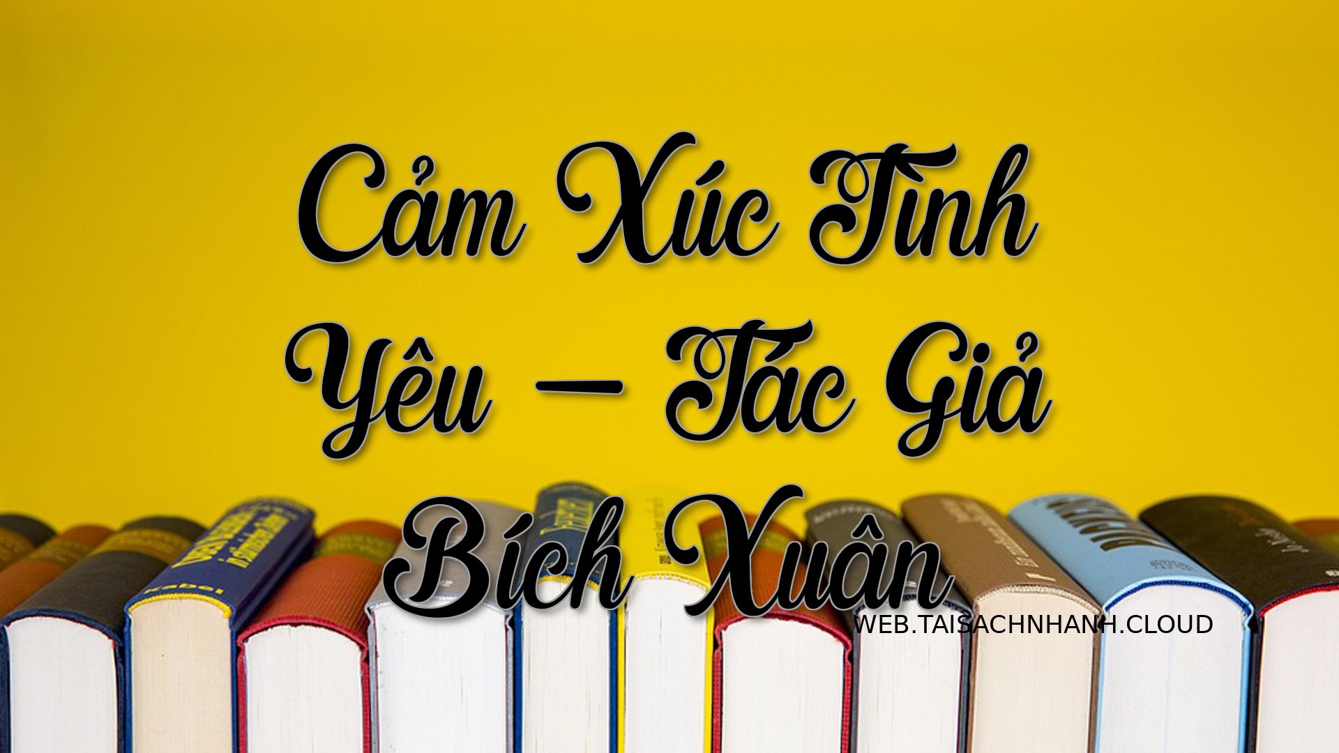 Cover Cam Xuc Tinh Yeu.jpg