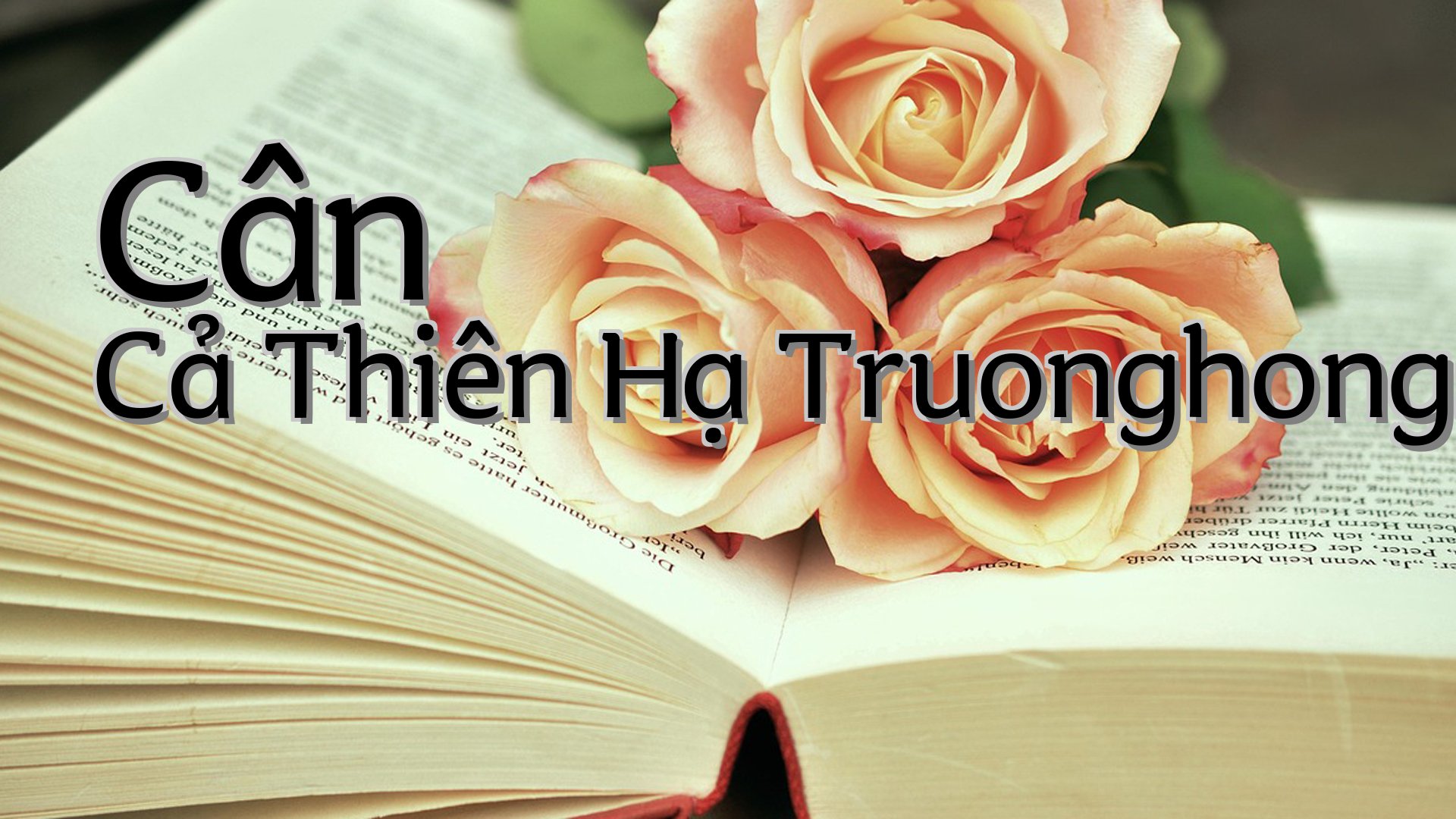 cover-Cân Cả Thiên Hạ Truonghongsinh
