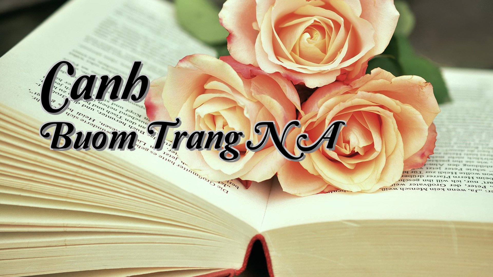 cover-Canh Buom Trang N A