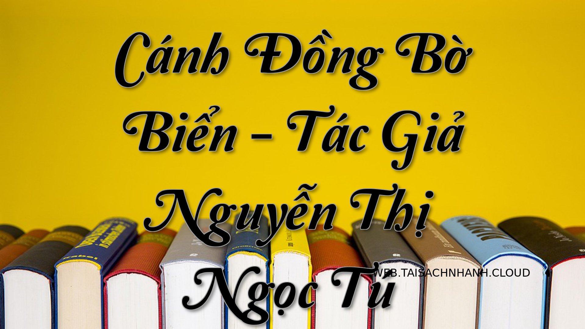 Cover Canh Dong Bo Bien.jpg