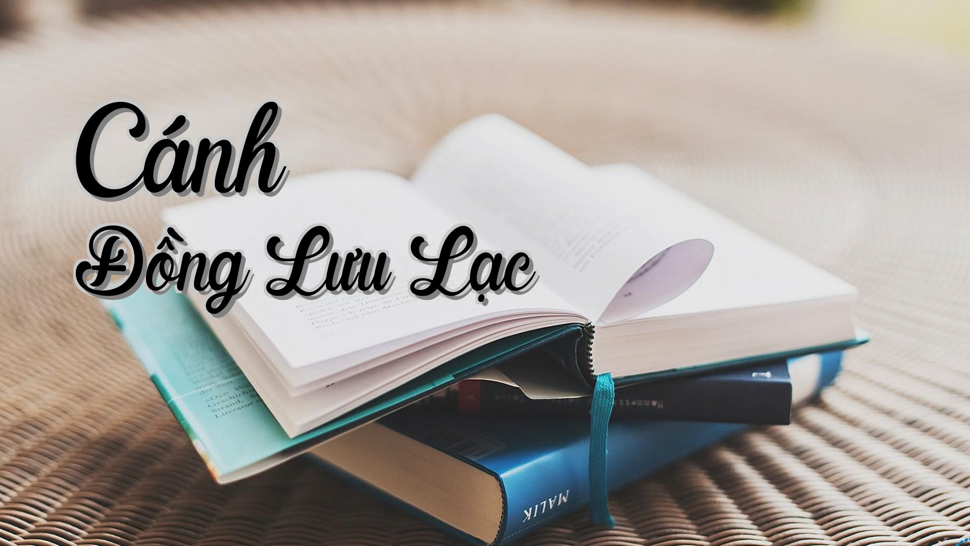 cover-Cánh Đồng Lưu Lạc
