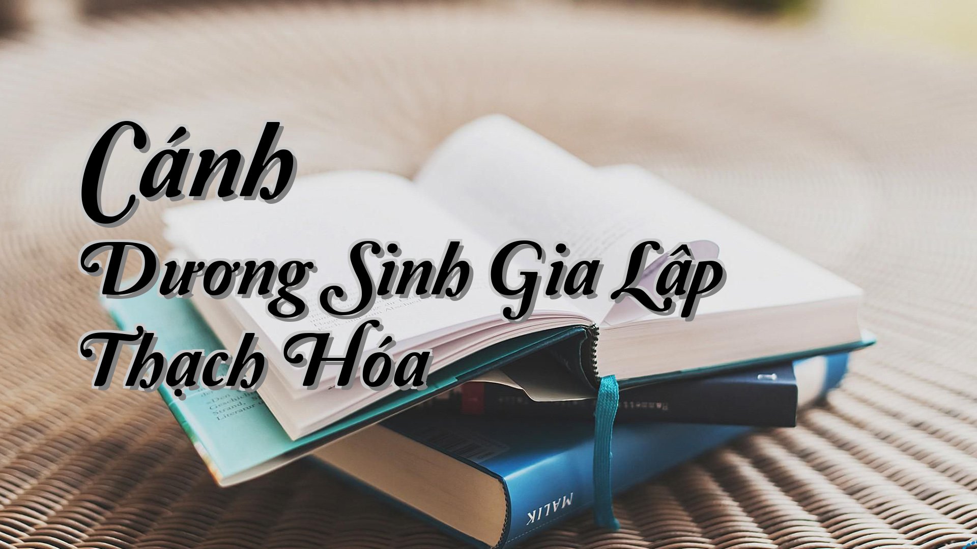 cover-Cánh Dương Sinh Gia Lập Thạch Hóa
