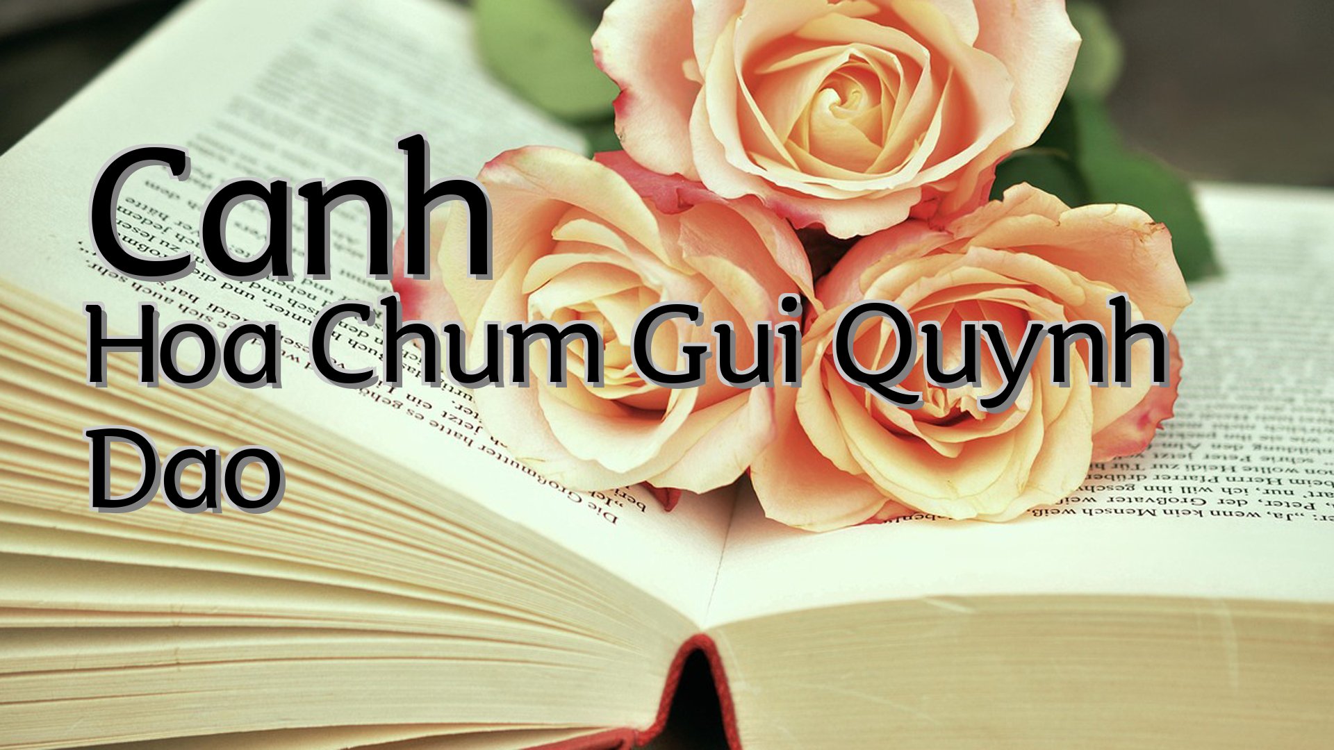cover-Canh Hoa Chum Gui Quynh Dao