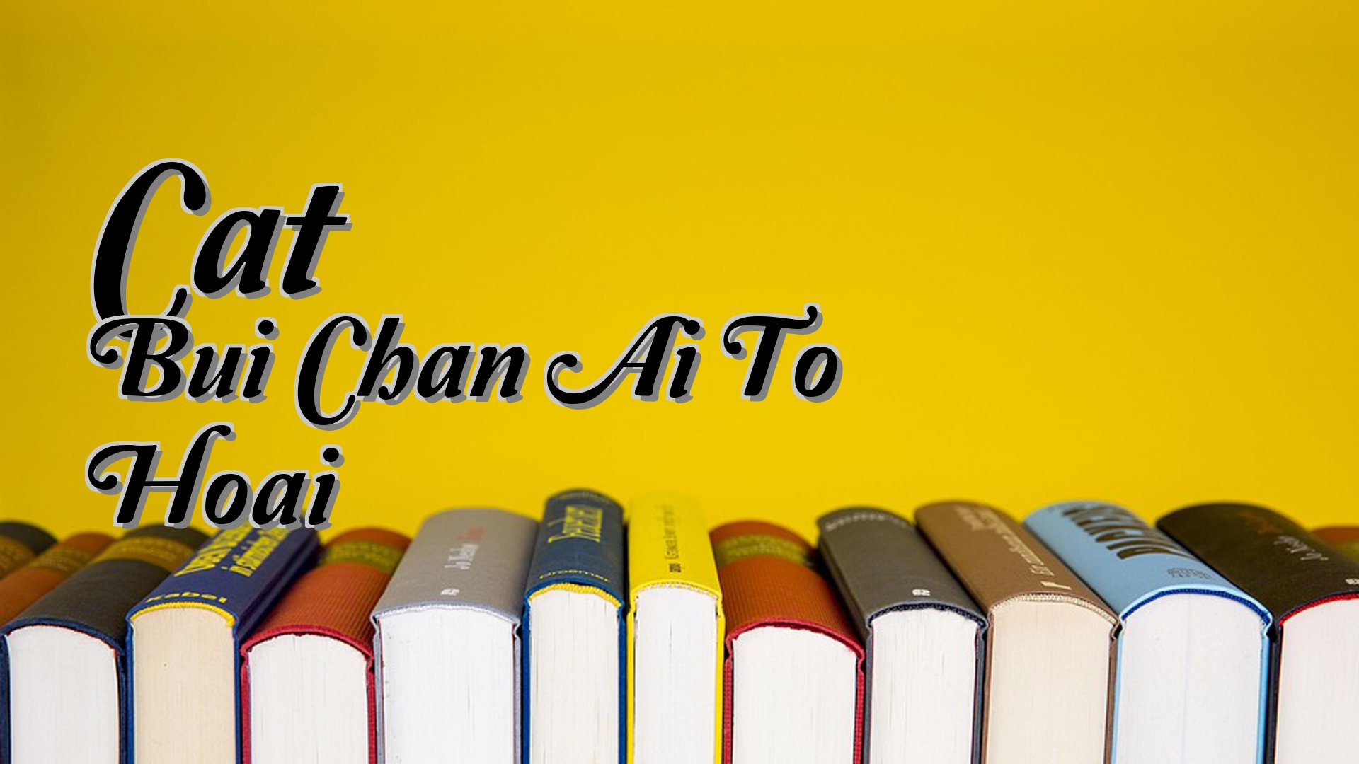 cover-Cat Bui Chan Ai To Hoai