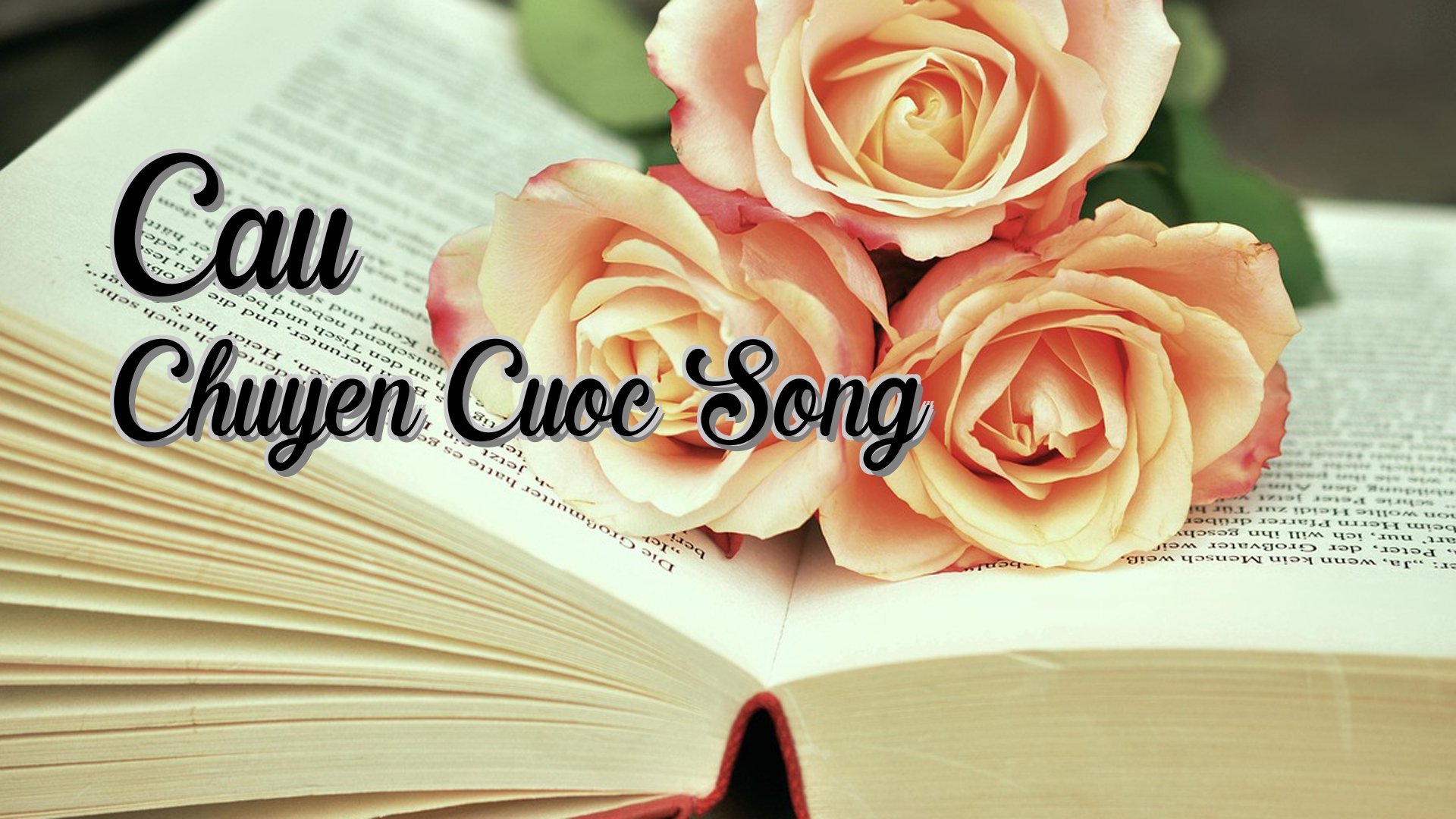 cover-Cau Chuyen Cuoc Song