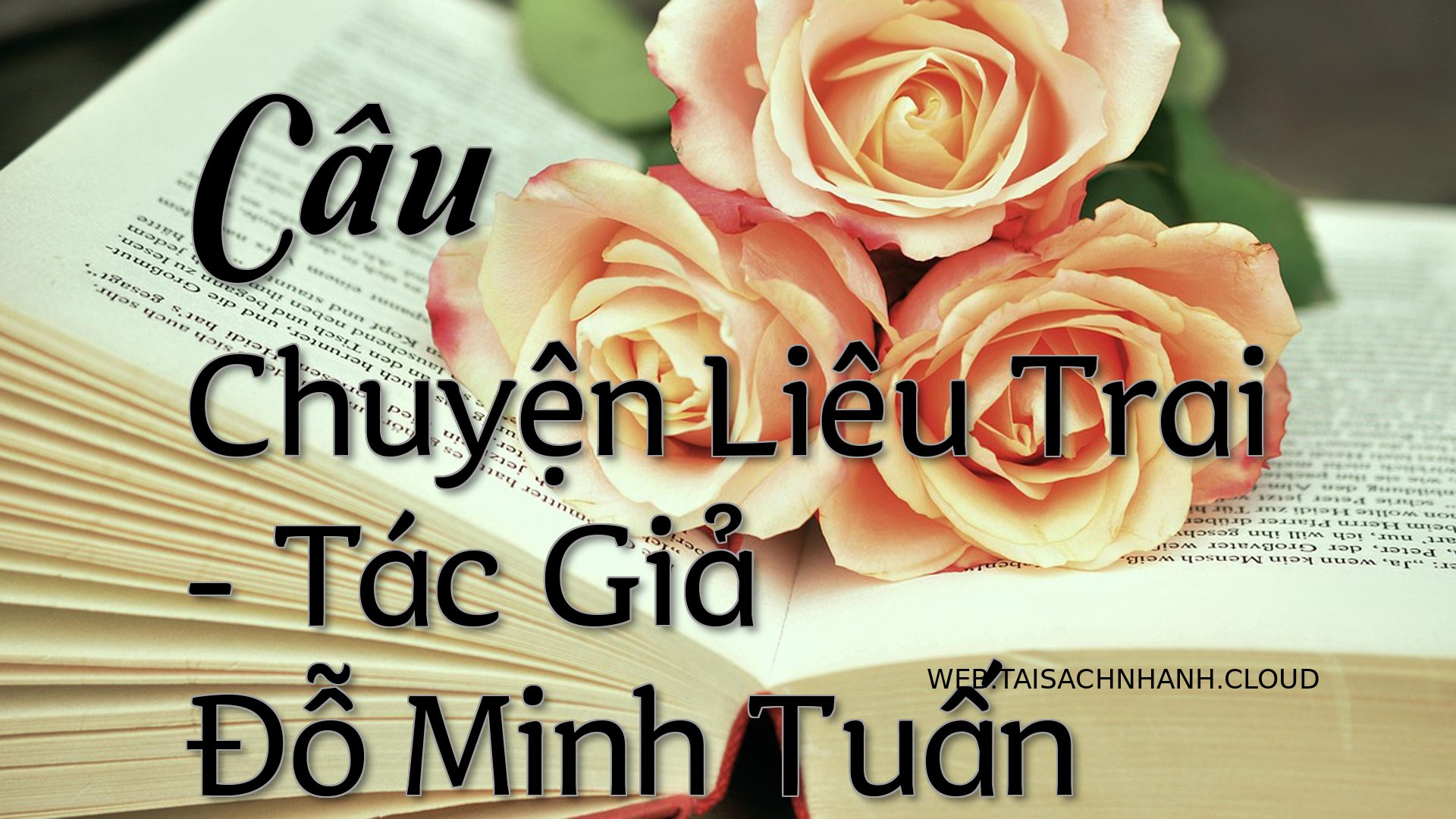 Cover Cau Chuyen Lieu Trai.jpg