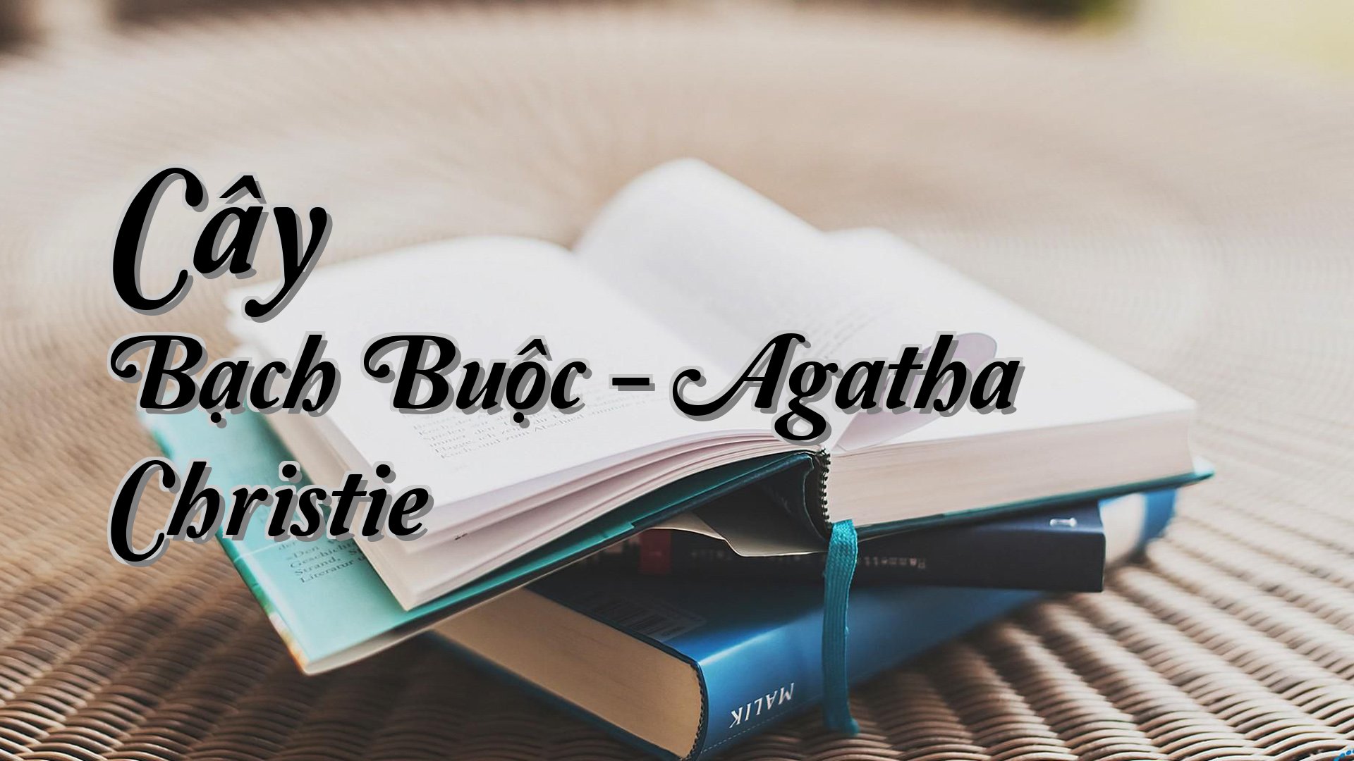 cover-Cây Bạch Buộc - Agatha Christie