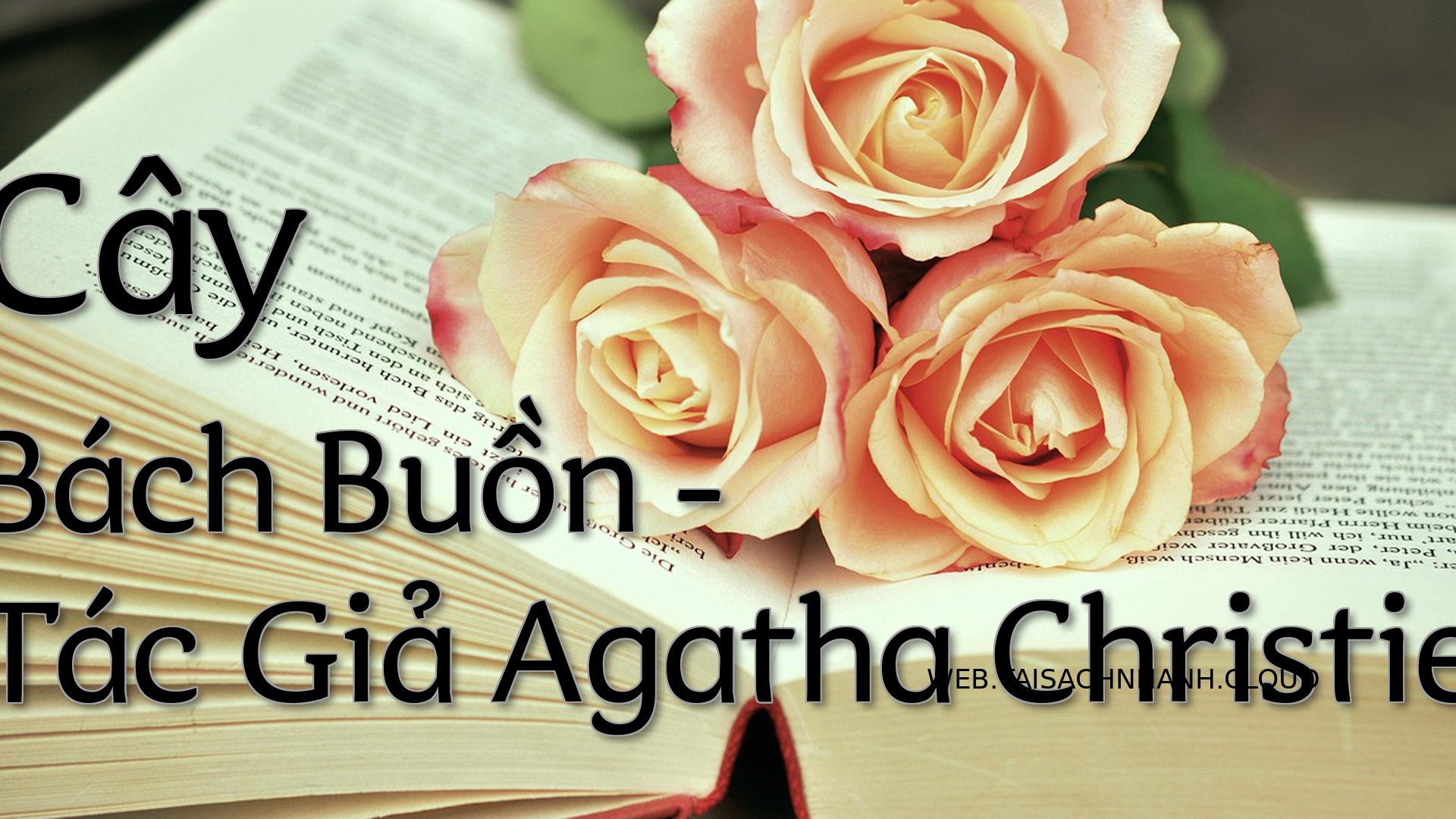 Cover Cay Bach Buon.jpg