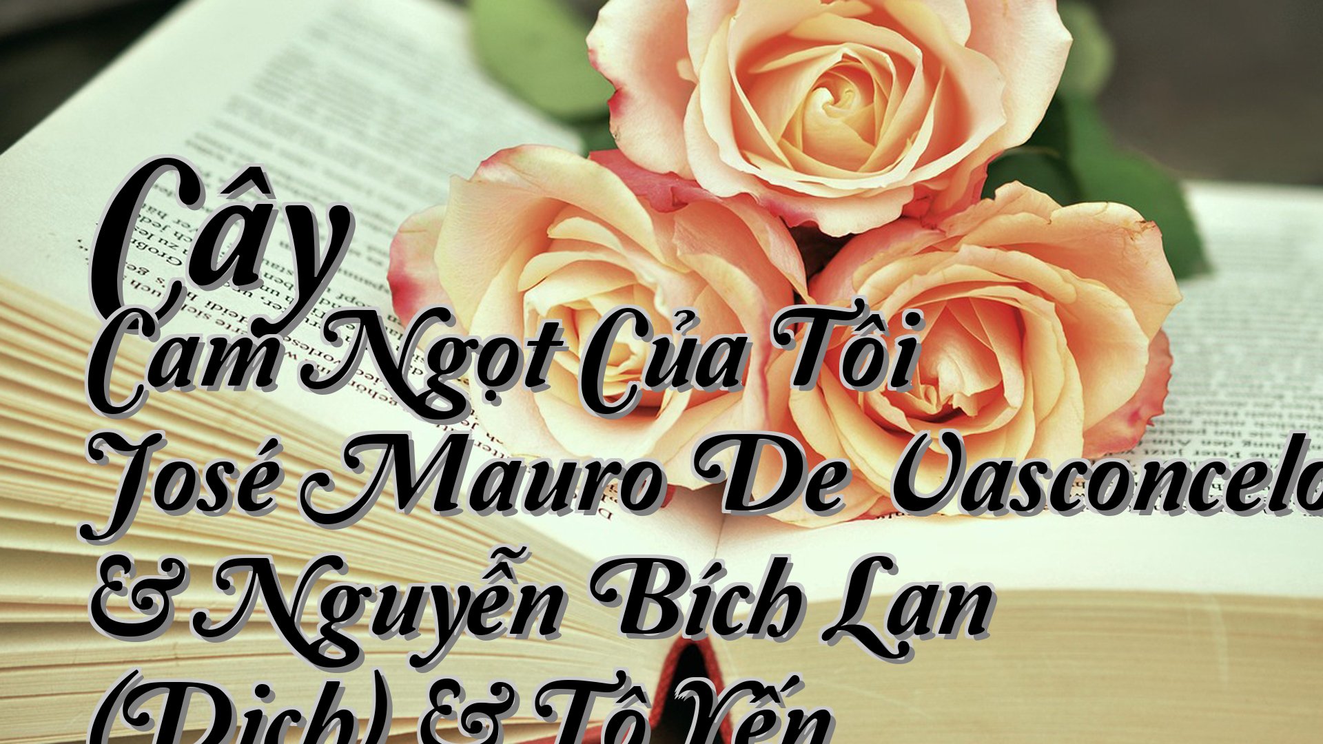 cover-Cây Cam Ngọt Của Tôi José Mauro De Vasconcelos & Nguyễn Bích Lan (Dịch) & Tô Yến Ly (Dịch)