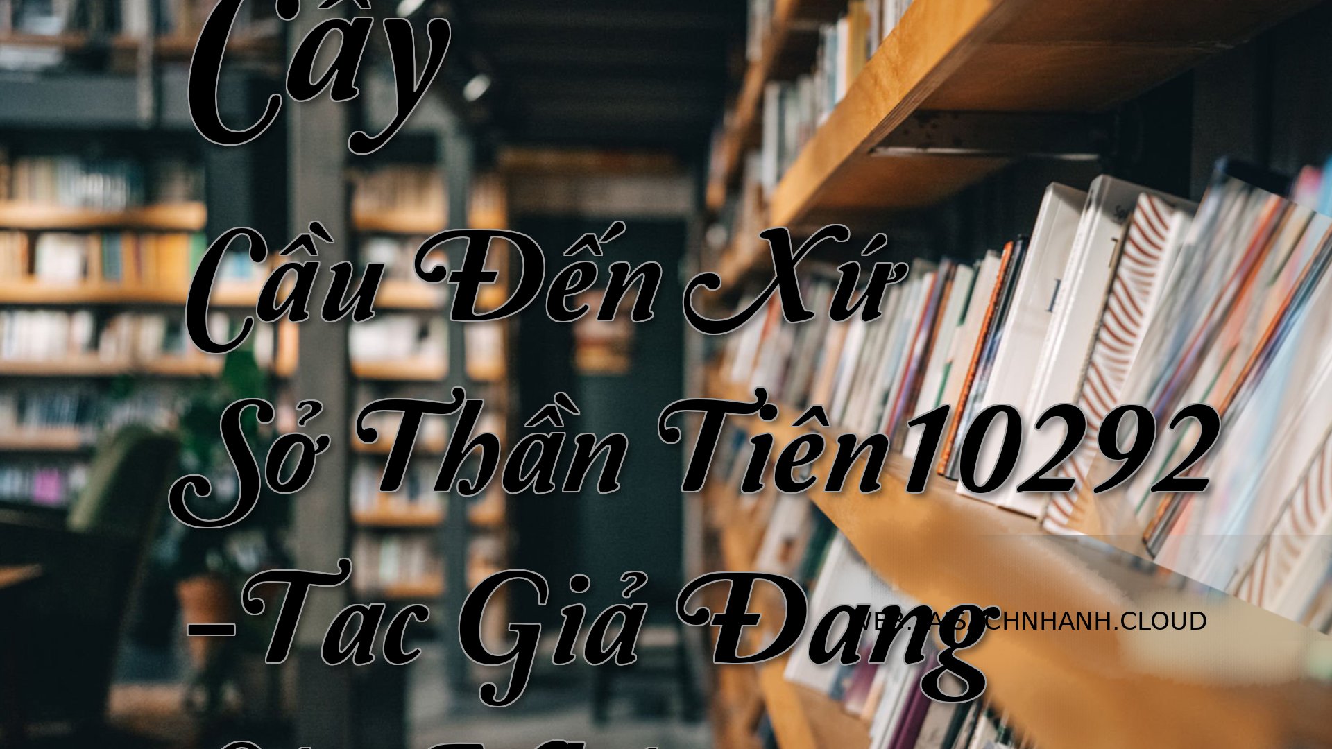 Cover Cay Cau Den Xu So Th.jpg