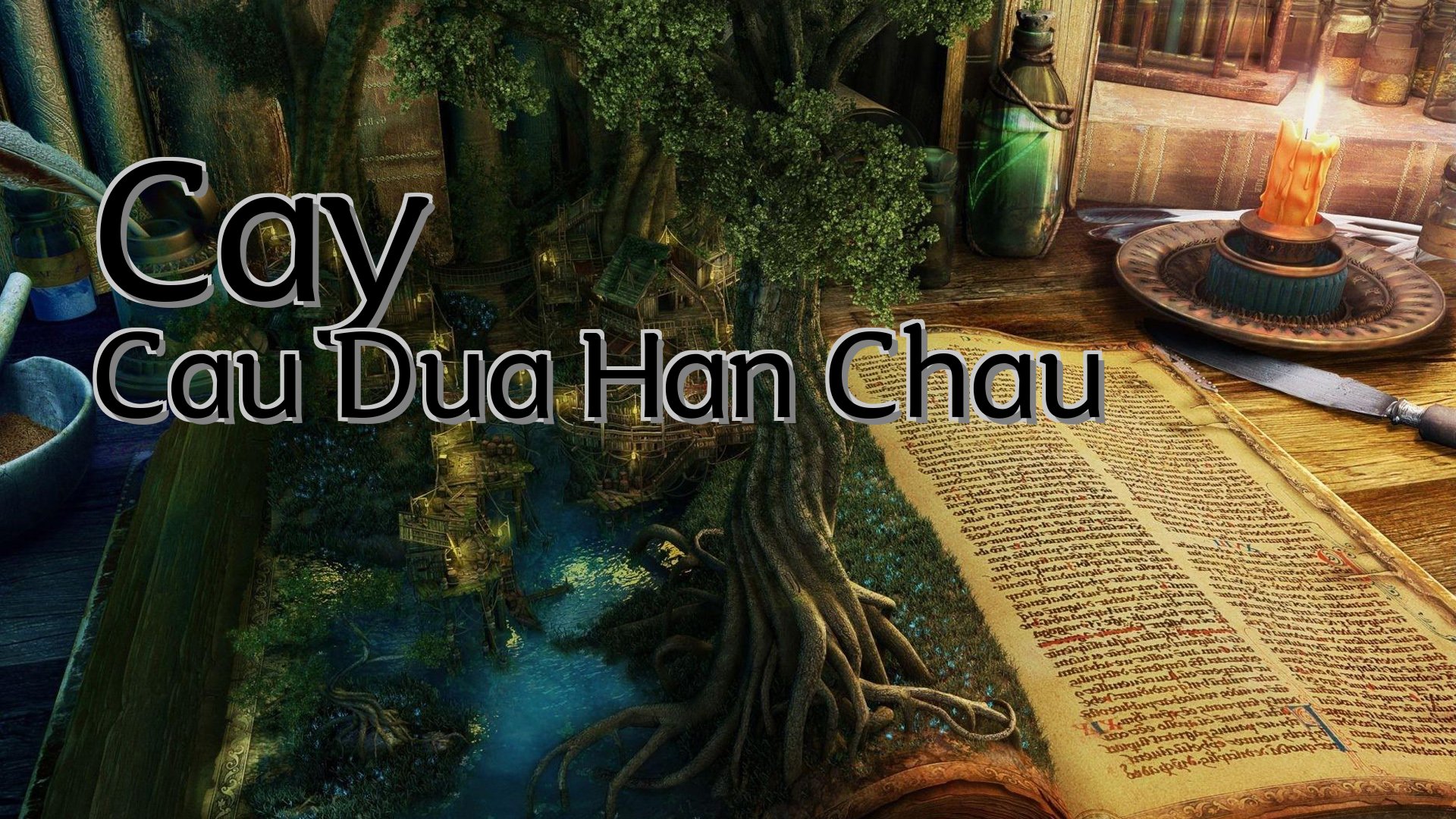 cover-Cay Cau Dua Han Chau