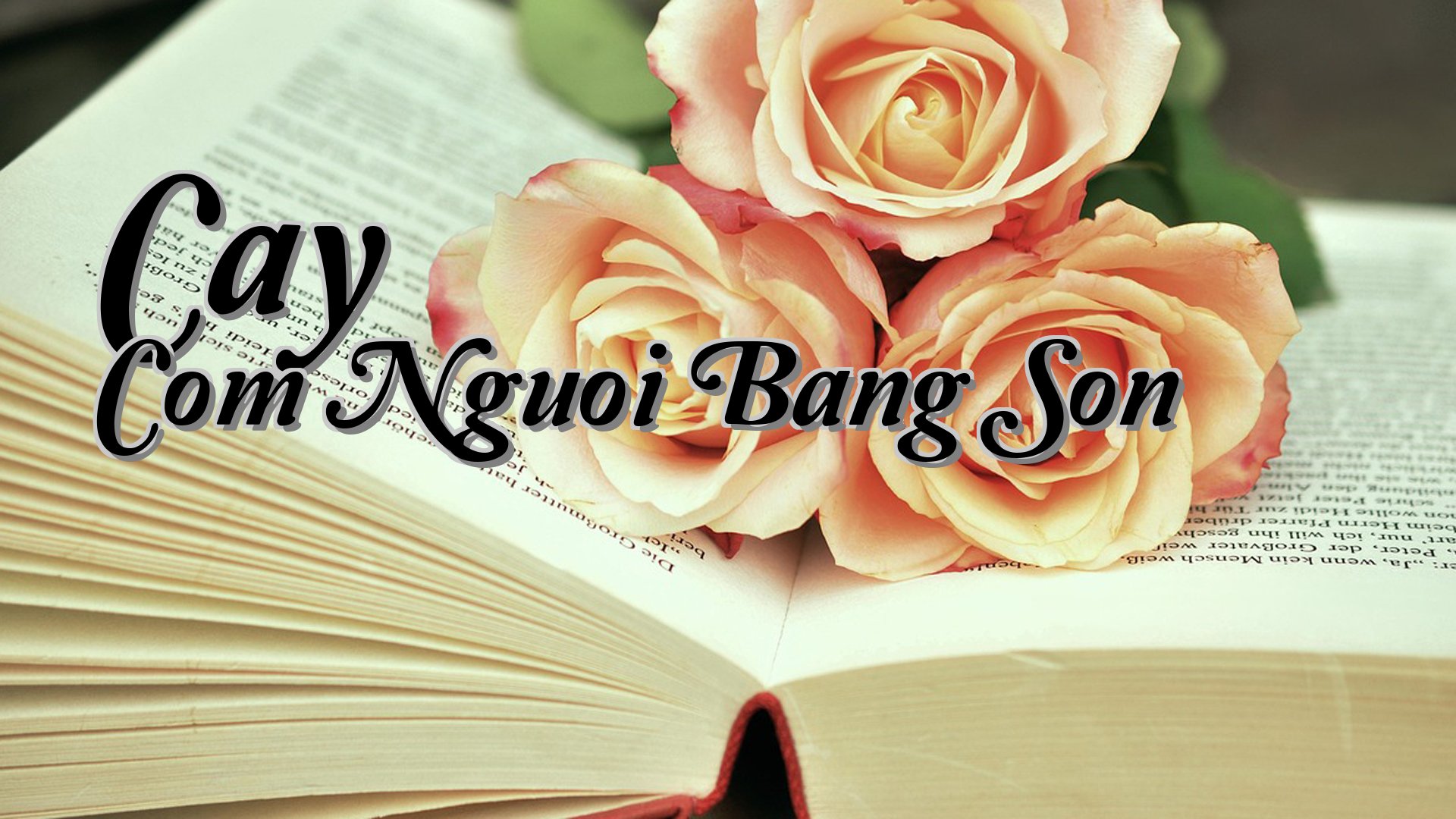 cover-Cay Com Nguoi Bang Son