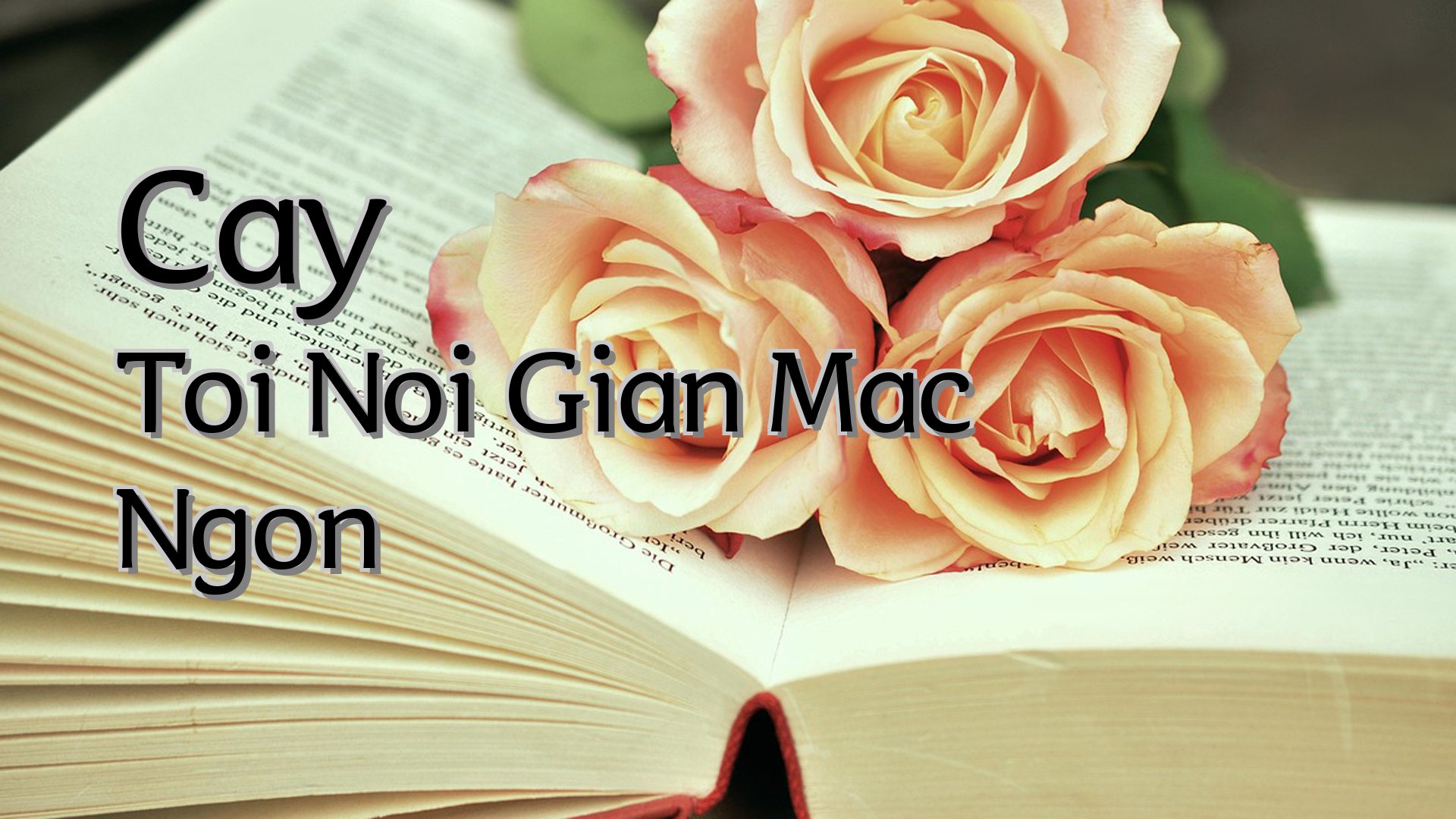 cover-Cay Toi Noi Gian Mac Ngon