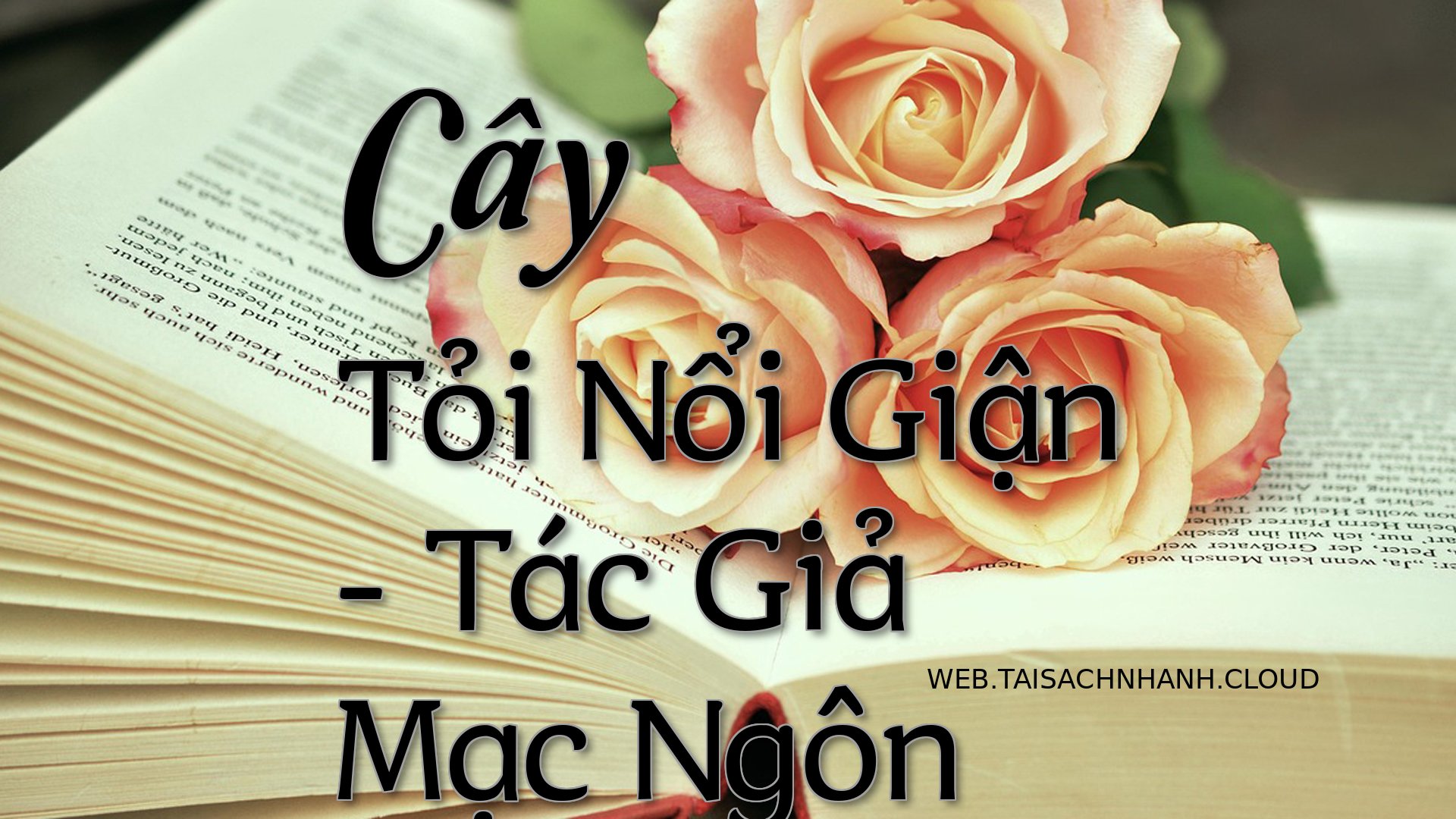 Cover Cay Toi Noi Gian.jpg