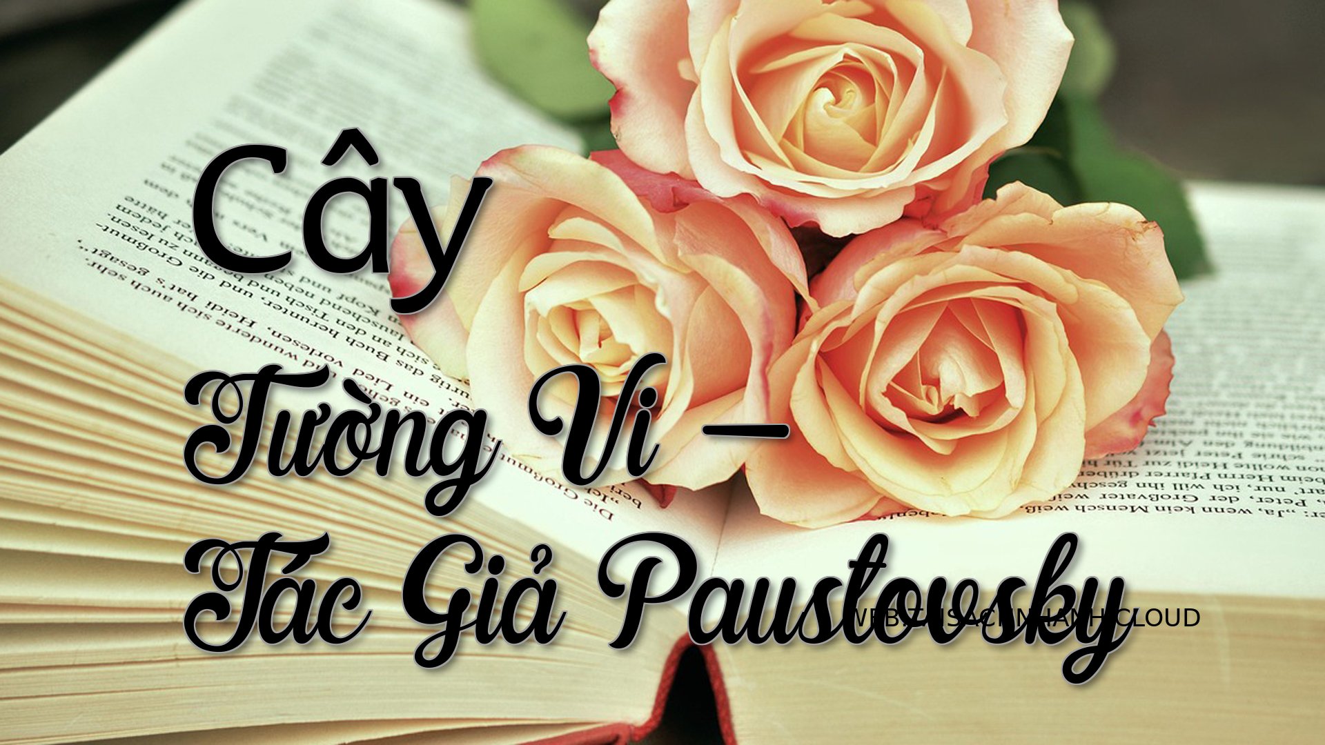 Cover Cay Tuong Vi.jpg