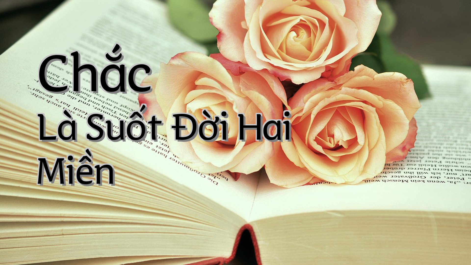 cover-Chắc Là Suốt Đời Hai Miền