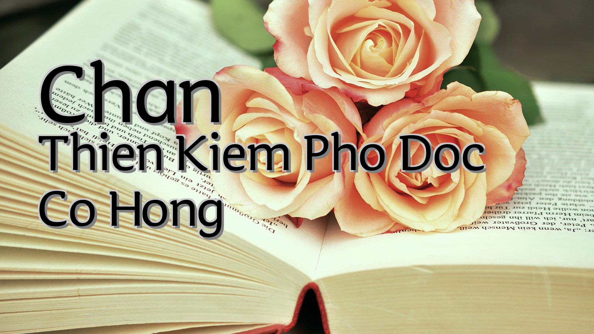 cover-Chan Thien Kiem Pho Doc Co Hong