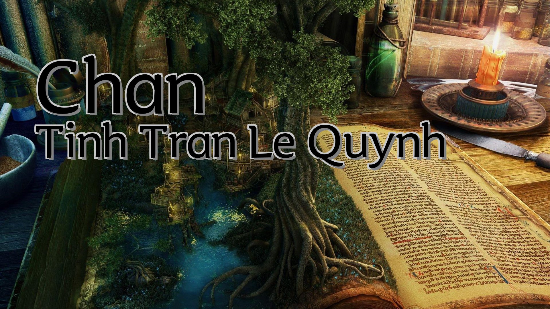 cover-Chan Tinh Tran Le Quynh