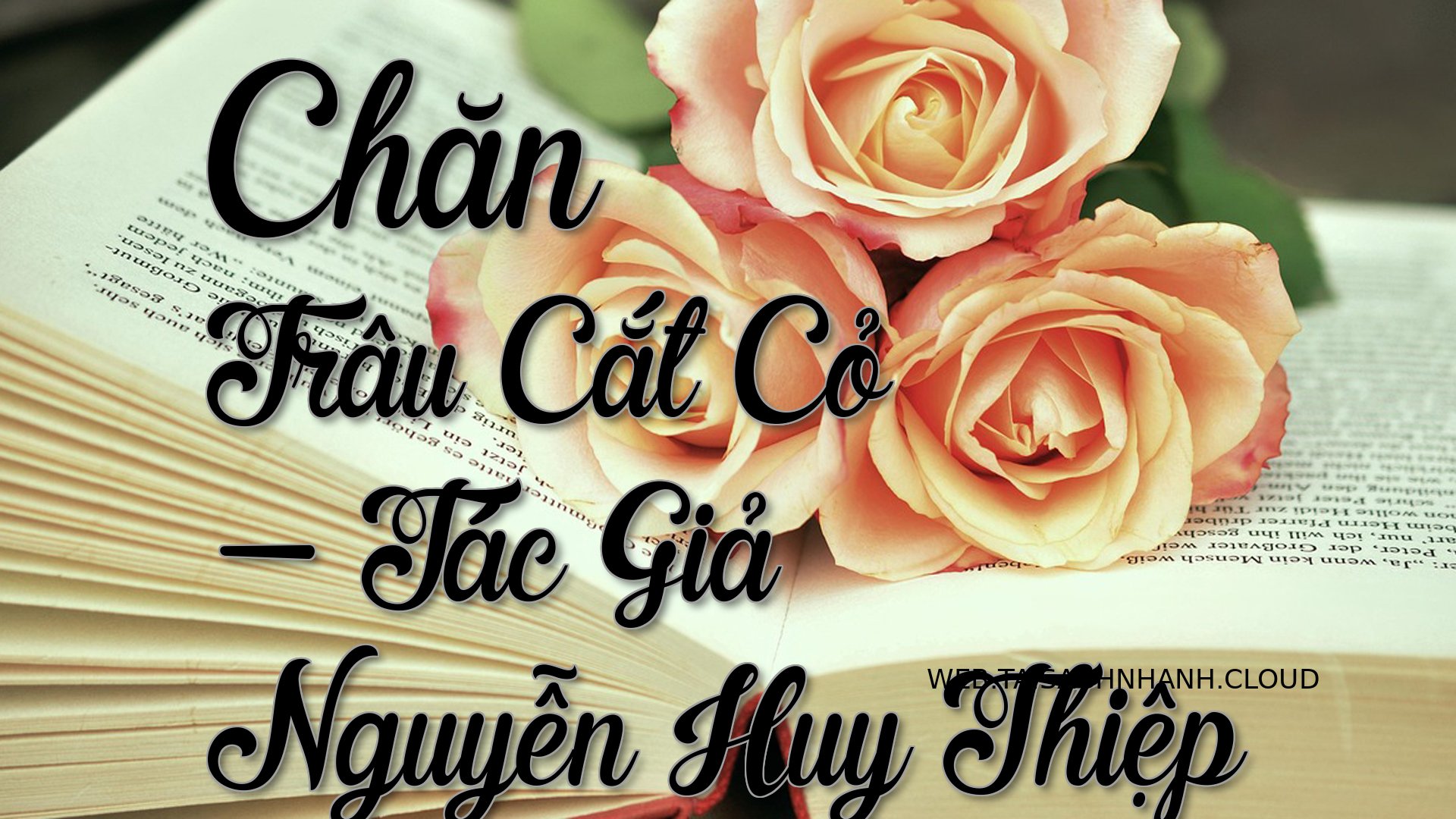 Cover Chan Trau Cat Co.jpg