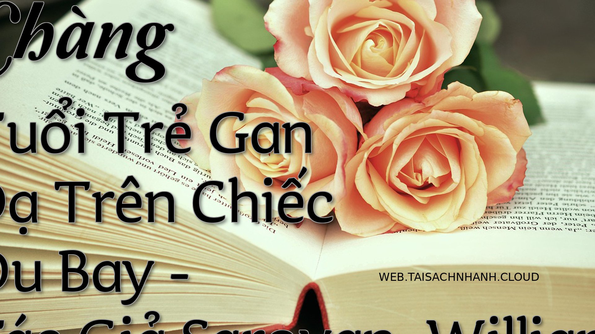 Cover Chang Tuoi Tre Gan D.jpg