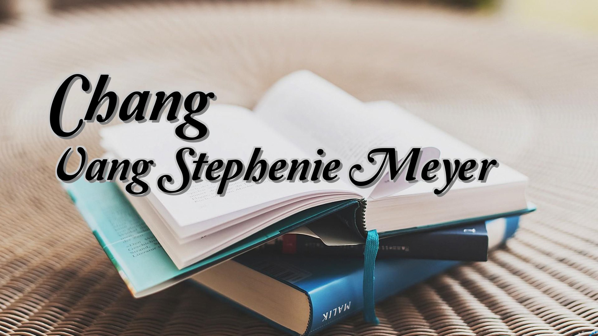 Cover image for Chang Vang Stephenie Meyer