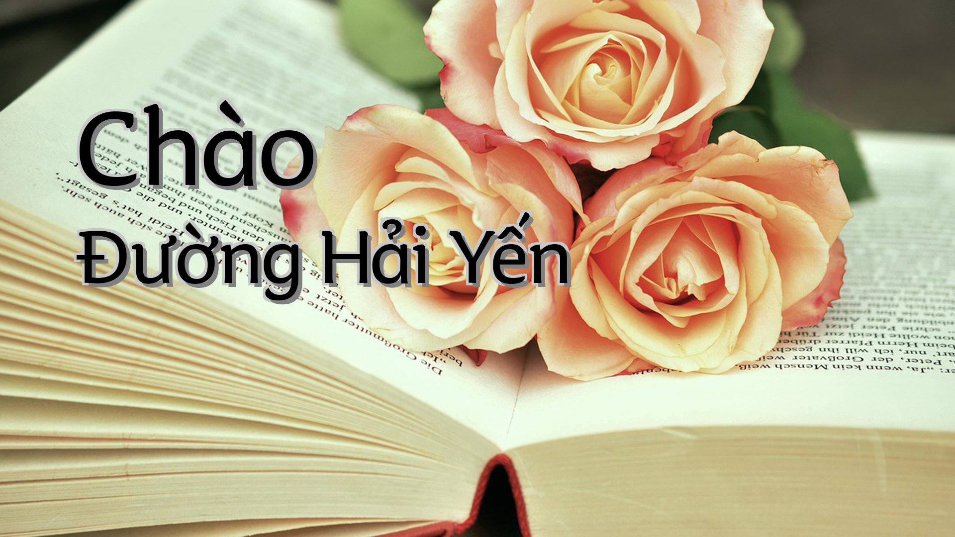 cover-Chào Đường Hải Yến