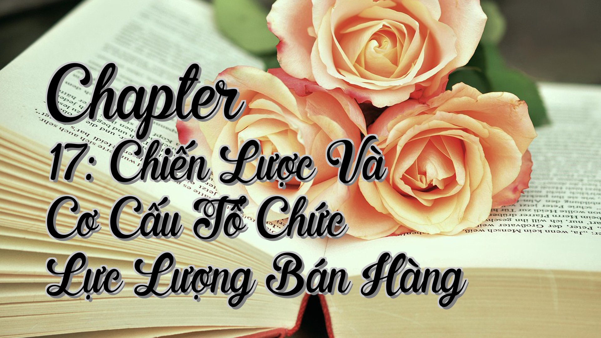 cover-Chapter 17: Chiến Lược Và Cơ Cấu Tổ Chức Lực Lượng Bán Hàng