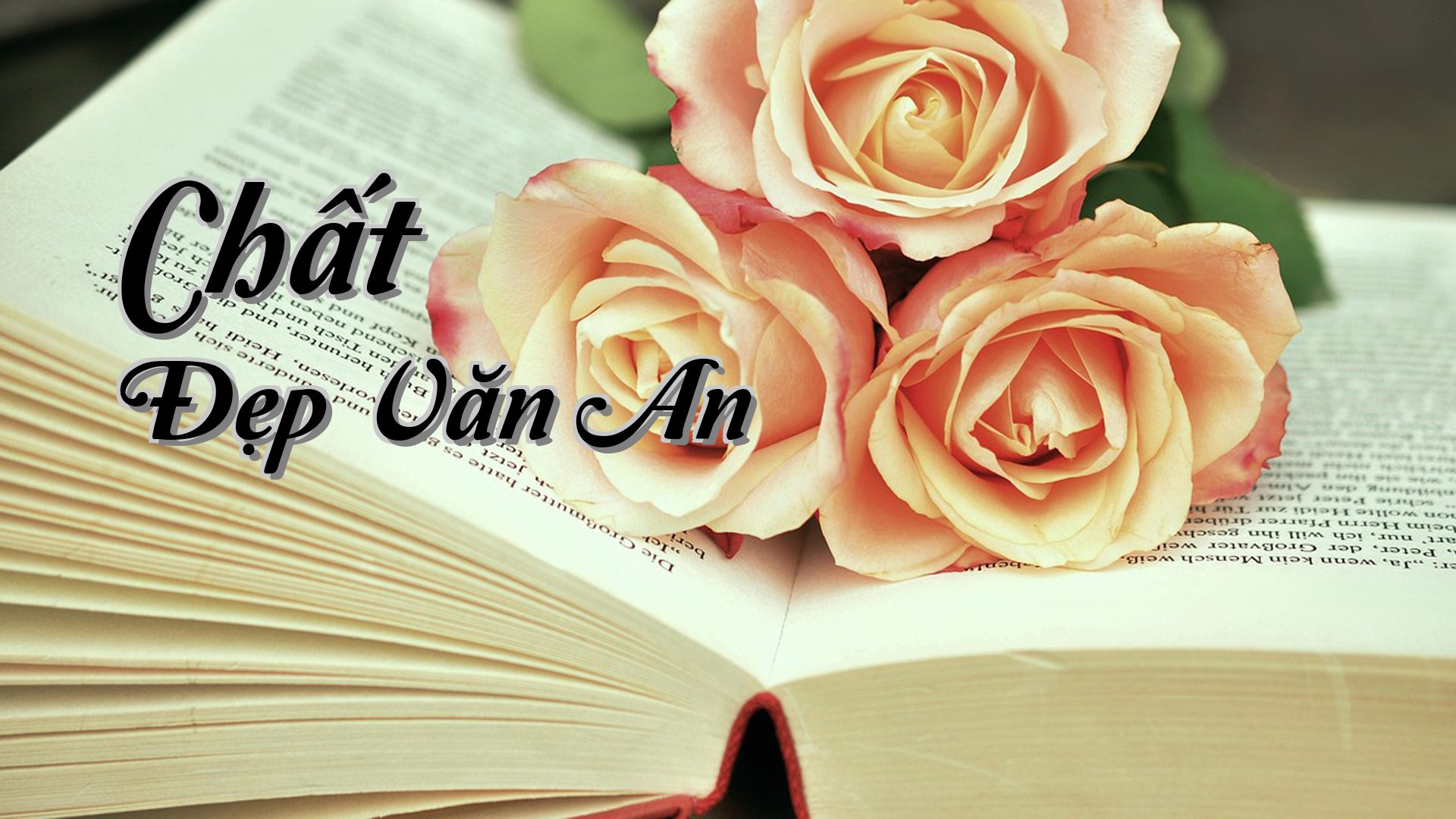 cover-Chất Đẹp Văn An