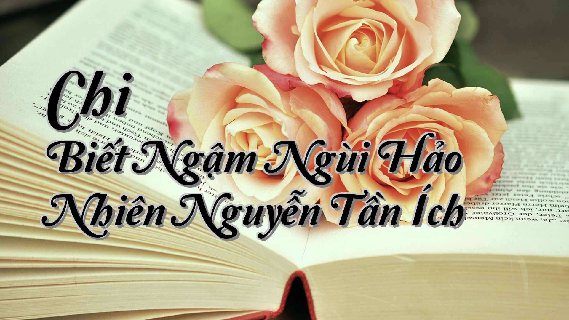 cover-Chi Biết Ngậm Ngùi Hảo Nhiên Nguyễn Tần Ích
