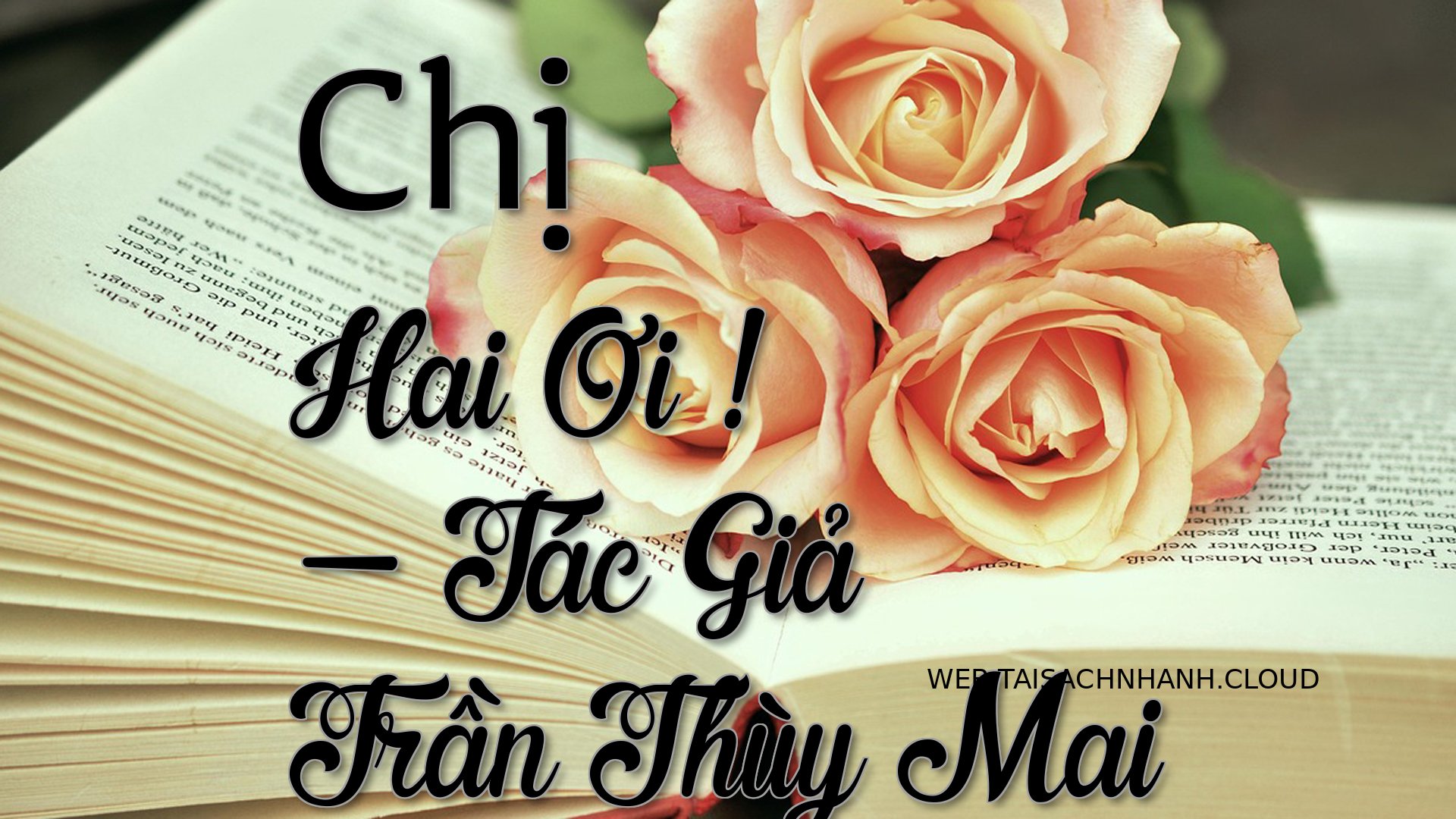 Cover Chi Hai Oi .jpg