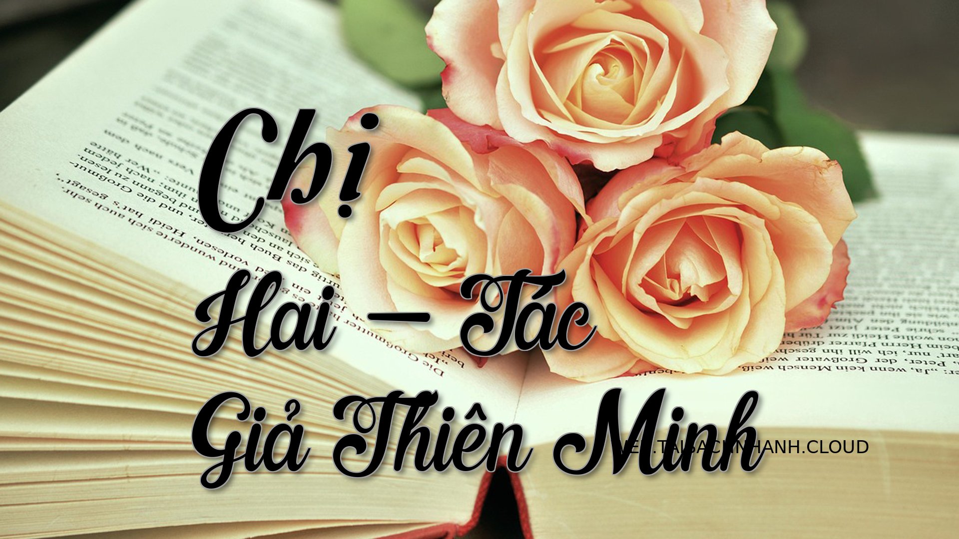 Cover Chi Hai.jpg