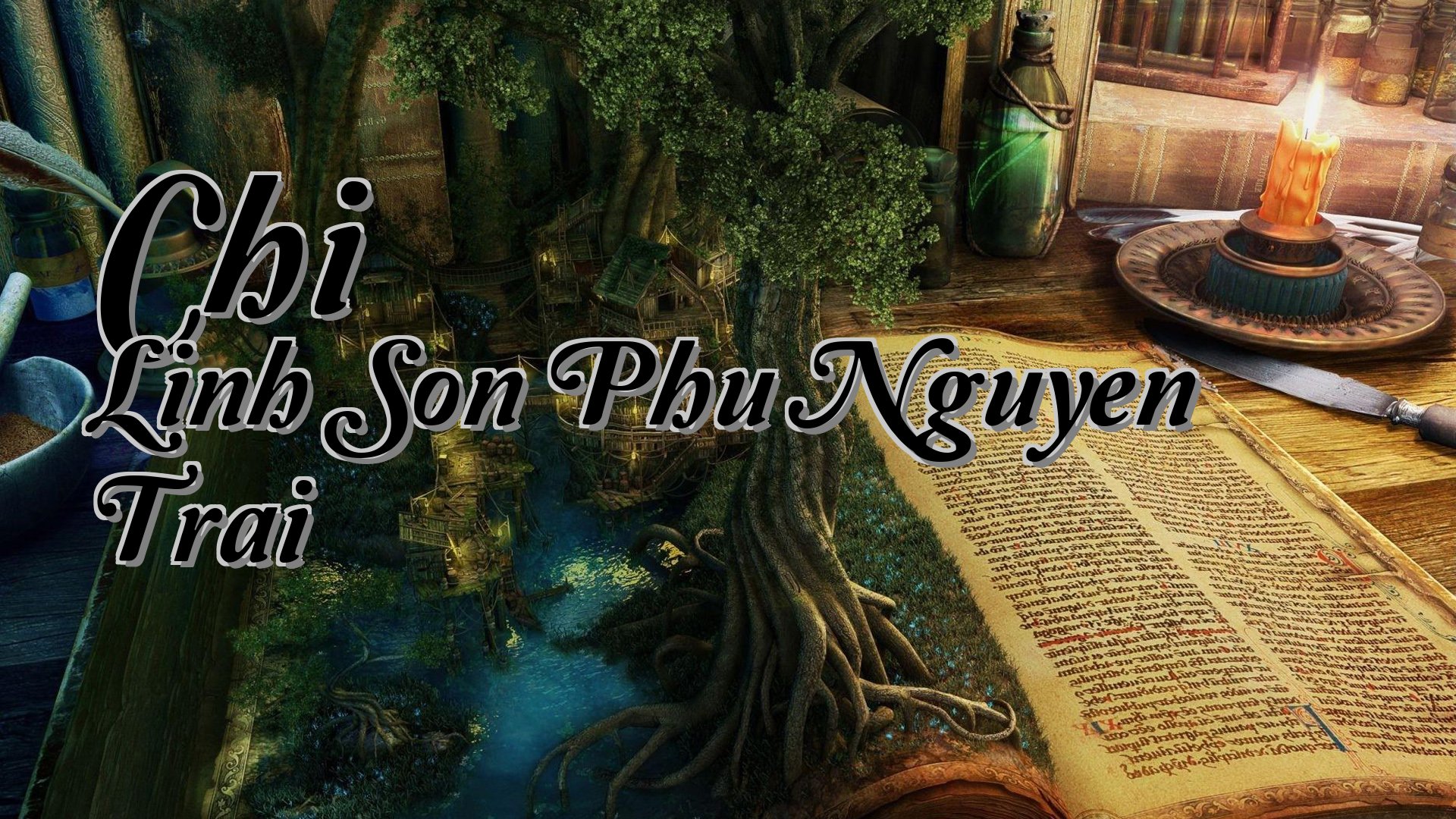 cover-Chi Linh Son Phu Nguyen Trai