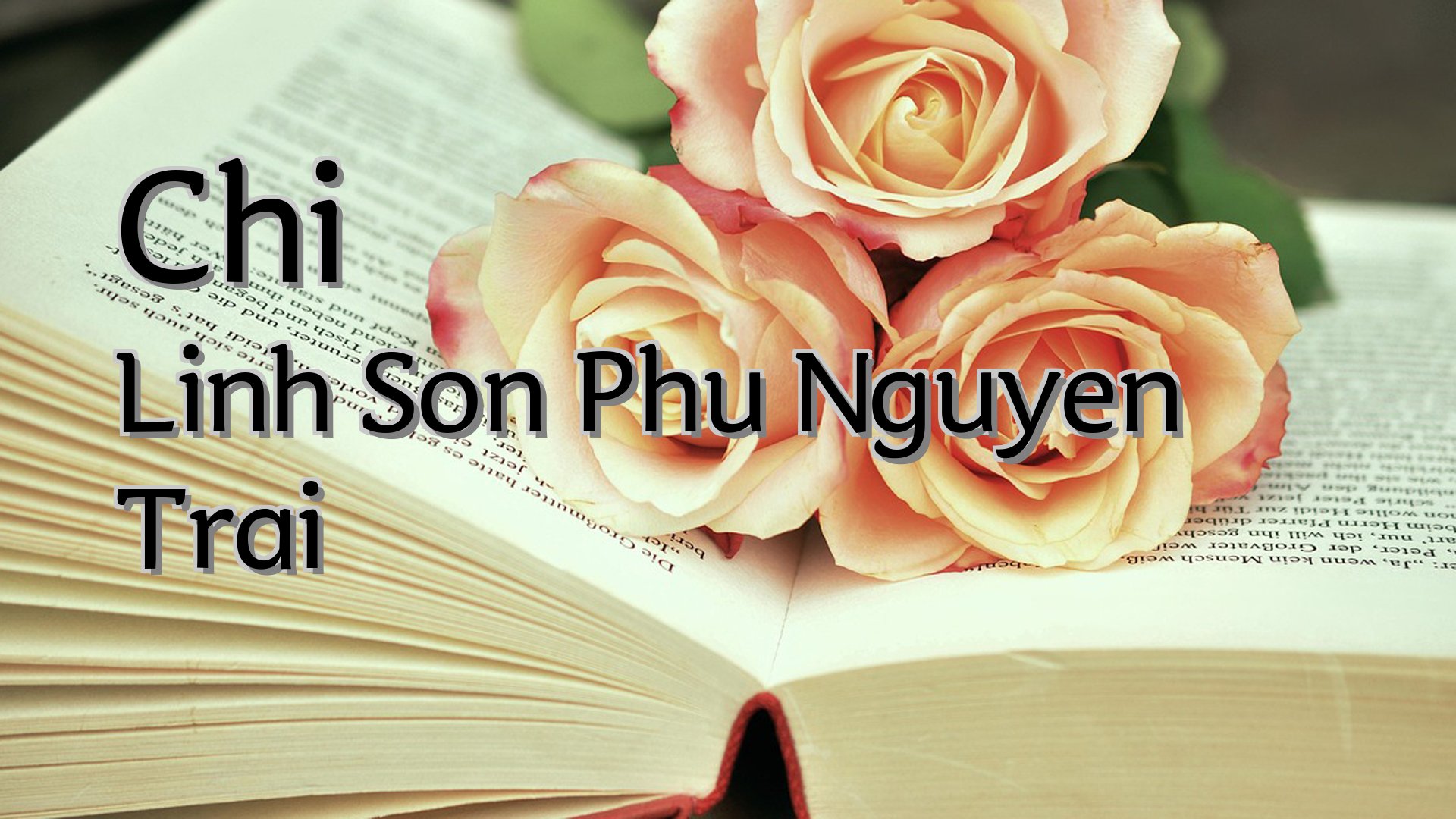 Cover image for Chi Linh Son Phu Nguyen Trai