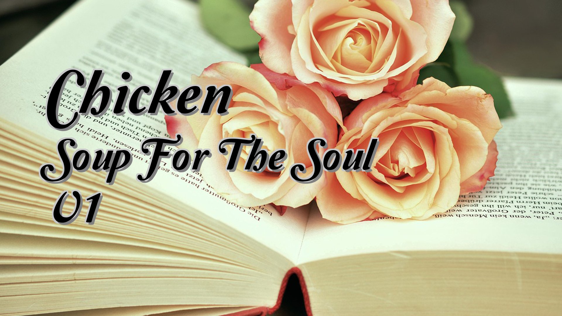 cover-Chicken Soup For The Soul V1