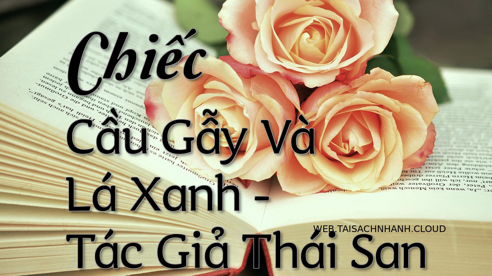 Cover Chiec Cau Gay Va La .jpg