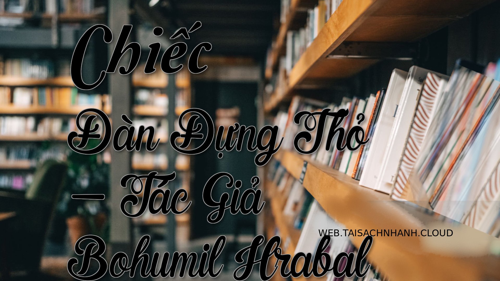 Cover Chiec Dan Dung Tho.jpg