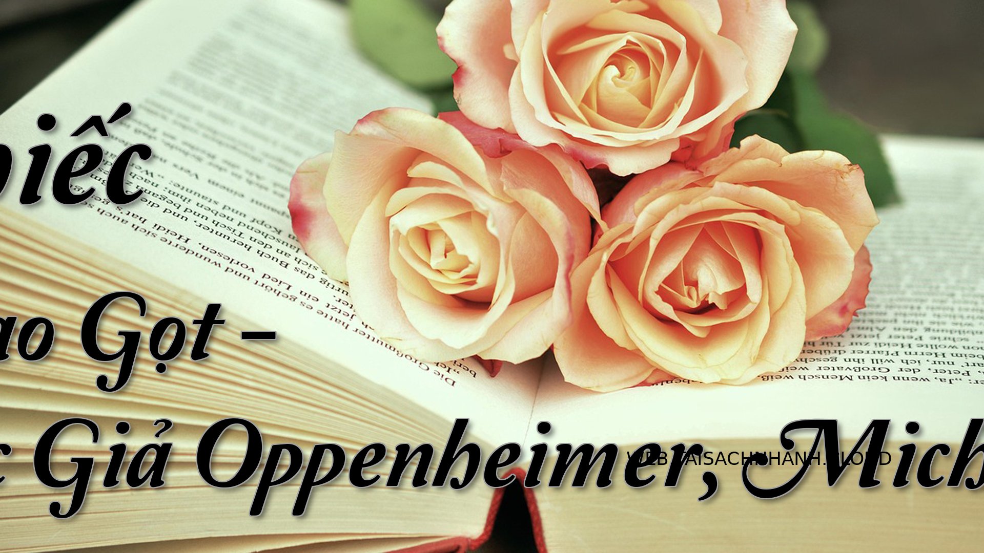 Cover Chiec Dao Got.jpg