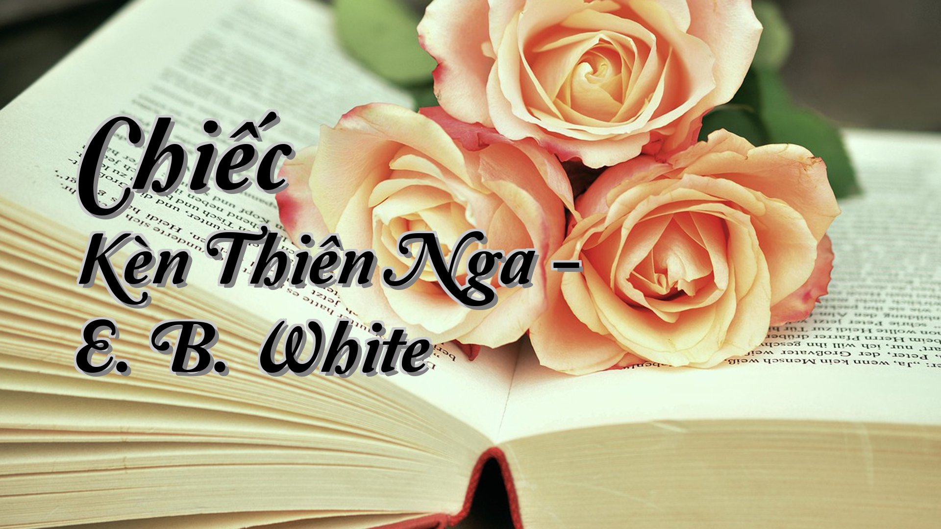 cover-Chiếc Kèn Thiên Nga - E. B. White