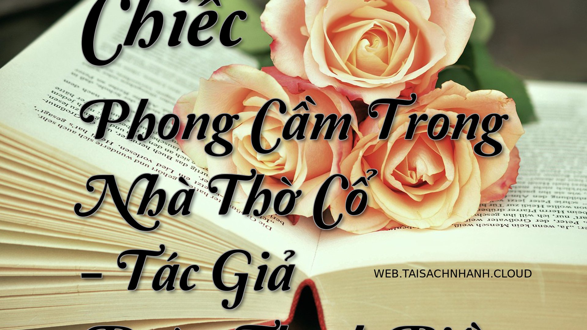 Cover Chiec Phong Cam Tron.jpg